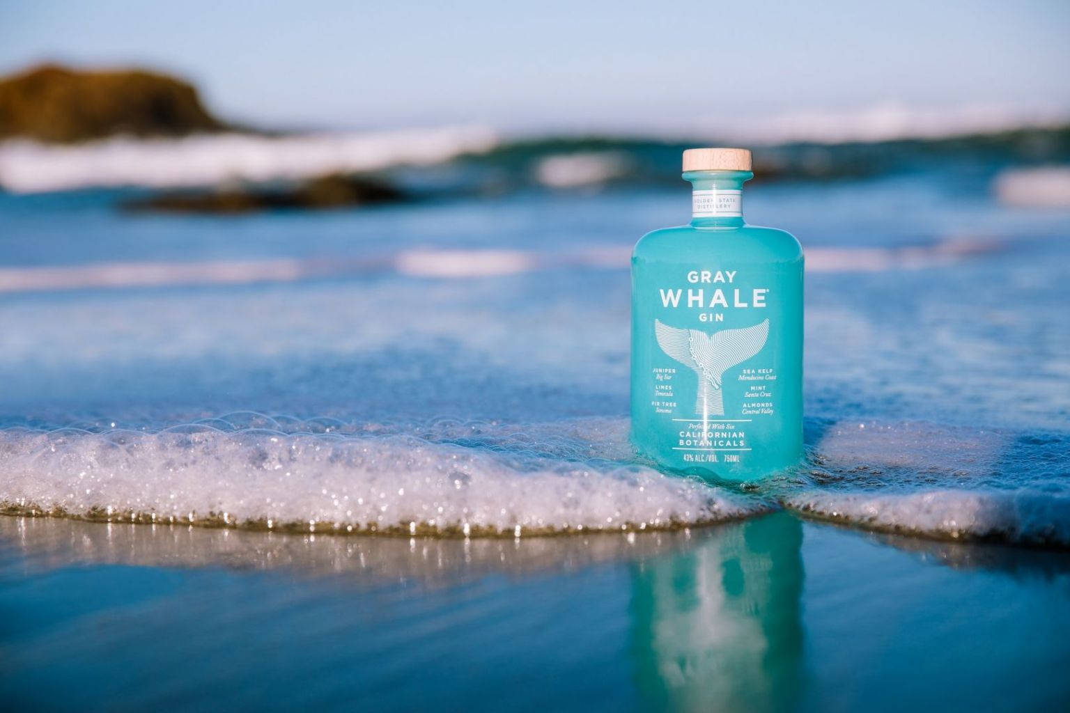 Gray Whale Gin, turquoise, bottle, HD Desktop Wallpaper