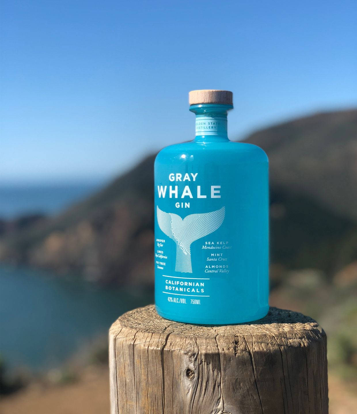 Gray Whale Gin, turquoise, wooden post, HD Phone Wallpaper