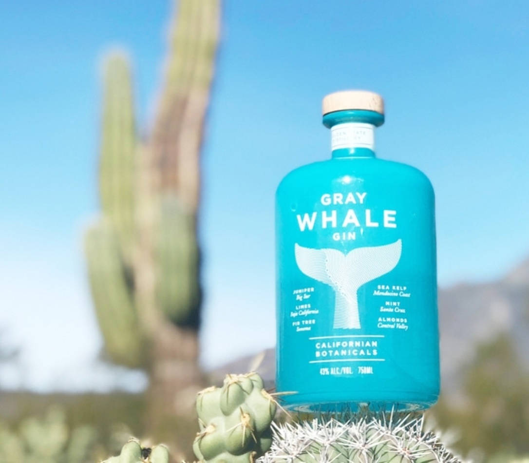 Gray Whale Gin, turquoise, spiky cactus, SD Desktop Wallpaper