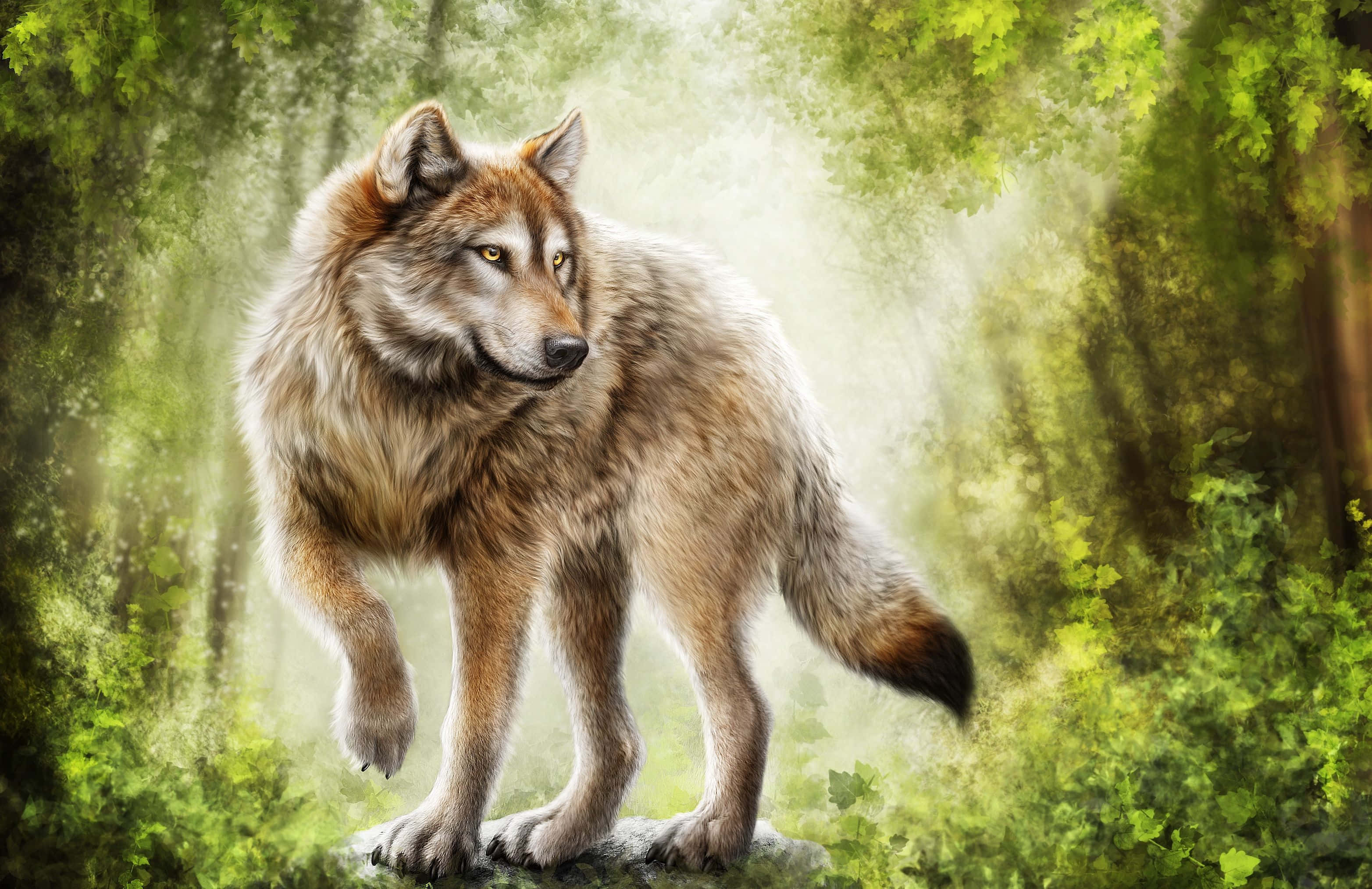 Gray Wolf, sunlit forest, vibrant green foliage, 2K Desktop Wallpaper