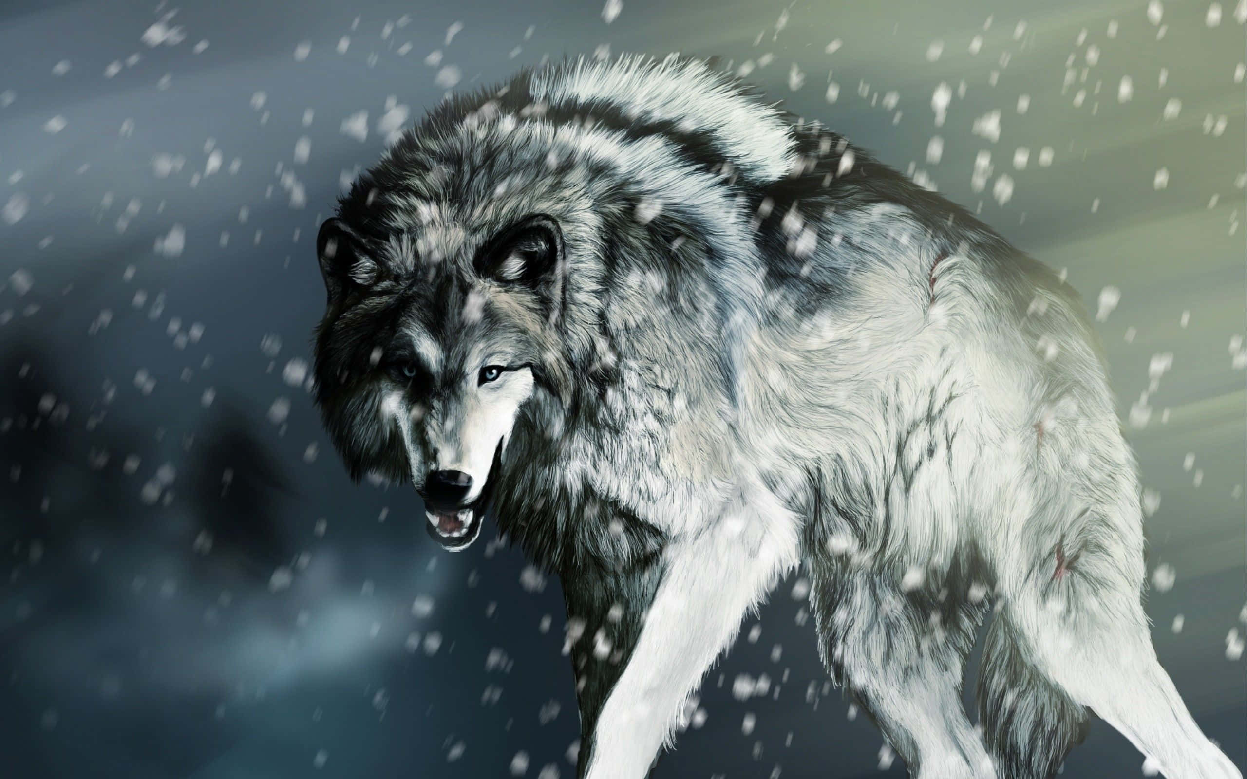 Gray Wolf, snowy forest, falling snow, 2K Desktop Wallpaper