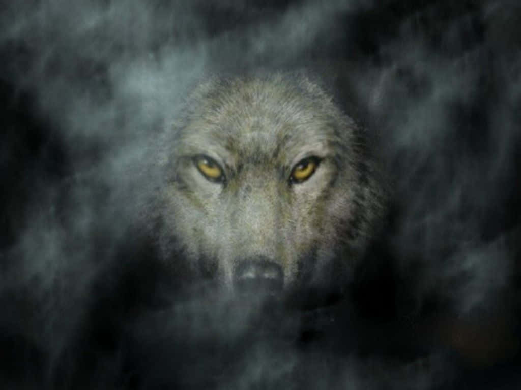 Gray Wolf, yellow eyes, swirling dark mist, SD Desktop Wallpaper