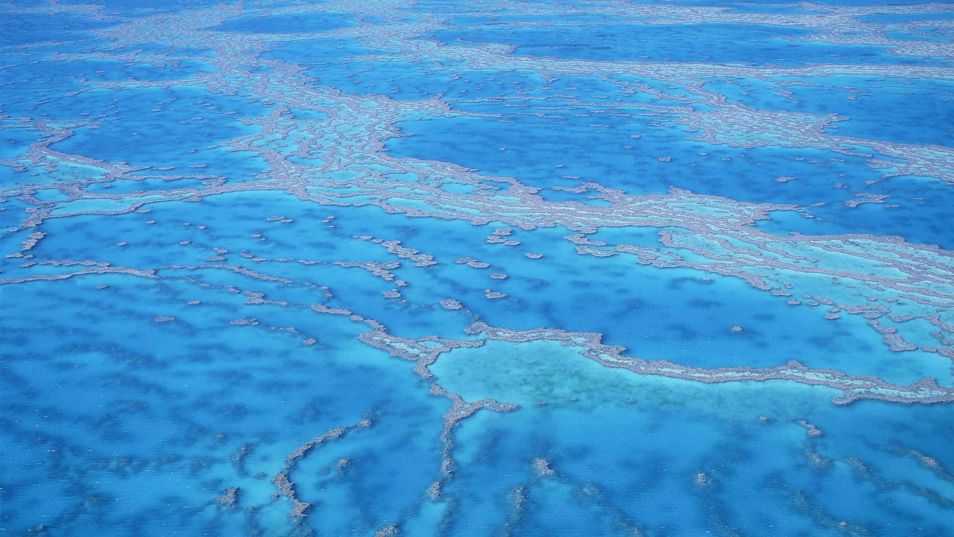 Great Barrier Reef, vibrant blue lagoon, intricate coral reef patterns, Full HD Desktop Wallpaper