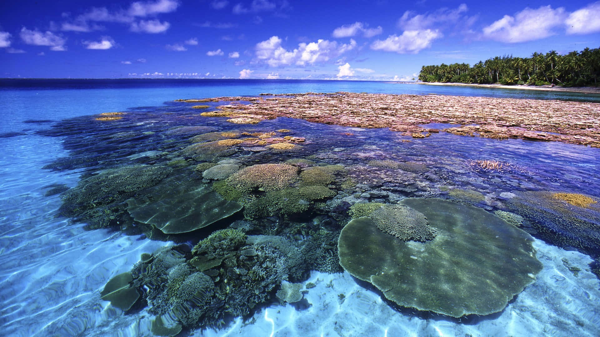 Great Barrier Reef, coral reefs, turquoise waters, Full HD Desktop Wallpaper