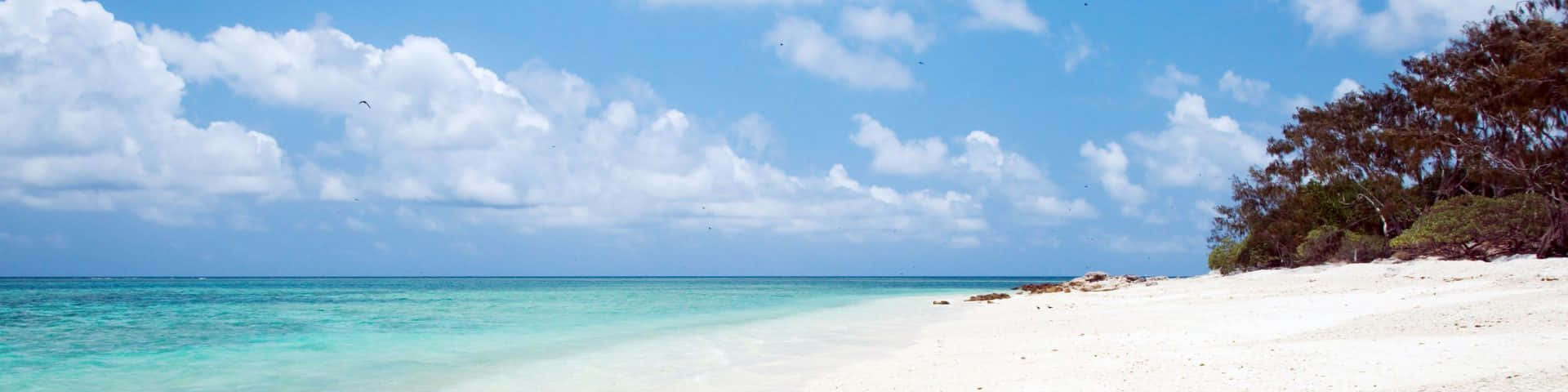 Great Barrier Reef, island beach, turquoise waters, Full HD Desktop Wallpaper
