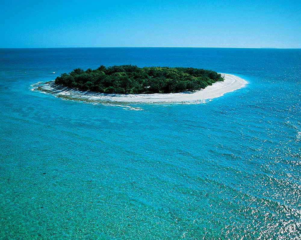 Great Barrier Reef, island, white sandy shores, SD Desktop Wallpaper