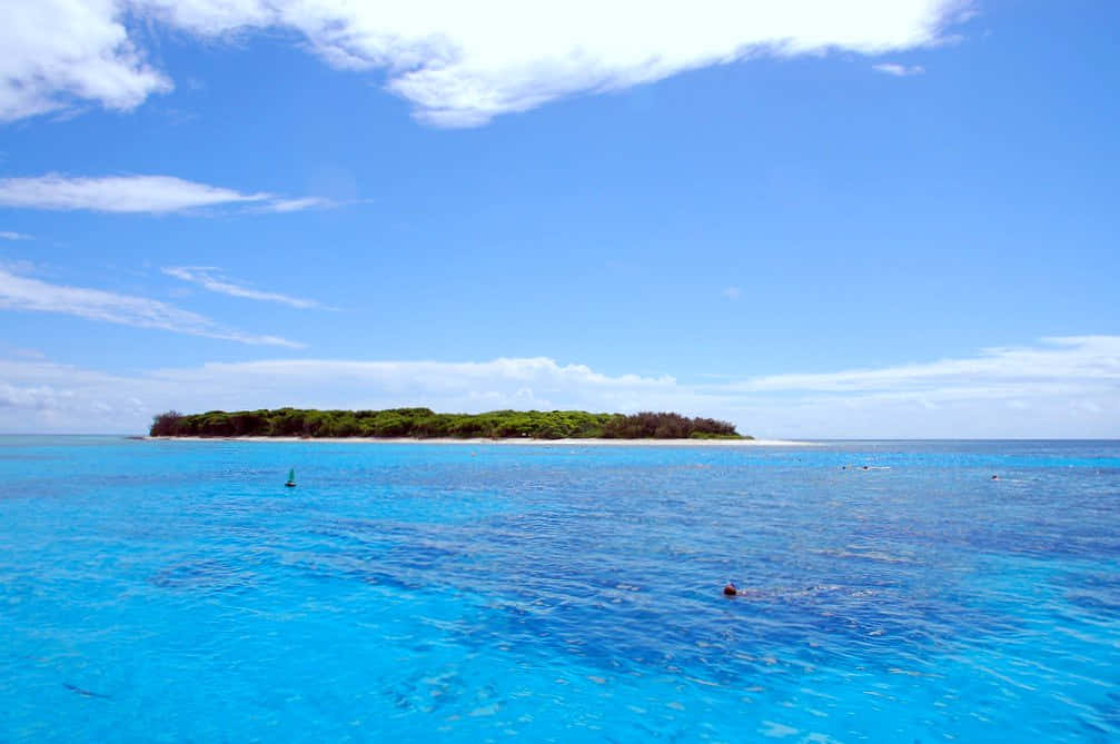 Great Barrier Reef, island, lush green island, SD Desktop Wallpaper