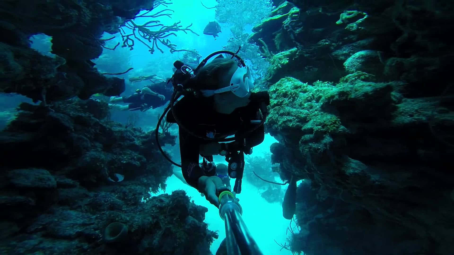Great Blue Hole, scuba diver, coral reef tunnel, Full HD Desktop Wallpaper