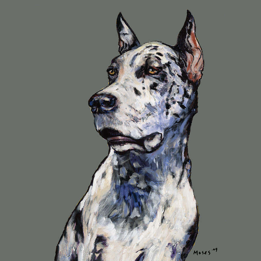 Great Dane, spotted dog, alert ears, SD Desktop Wallpaper