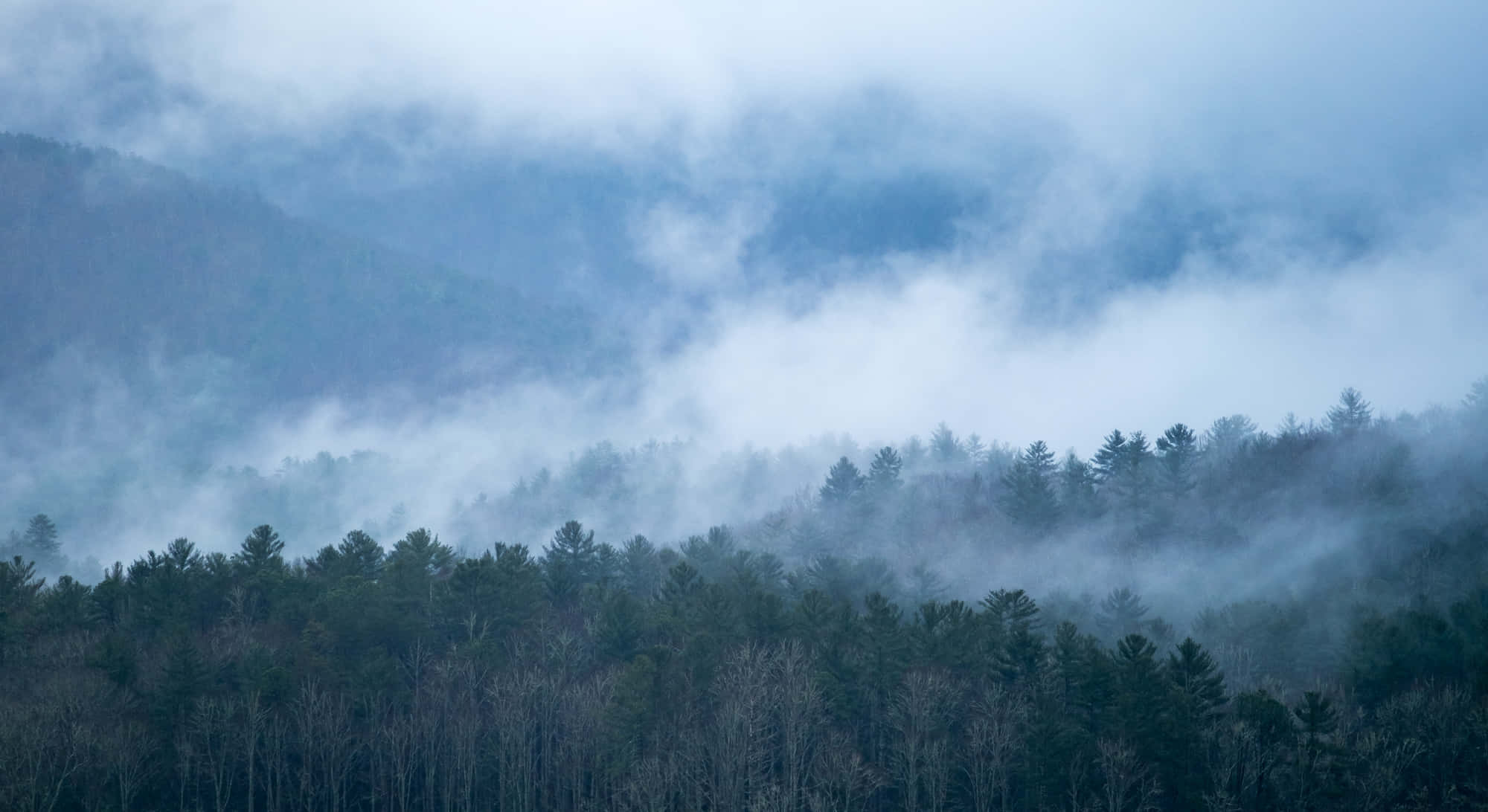 Great Smoky Mountains National Park, misty blue clouds, dense forest, Full HD Desktop Wallpaper