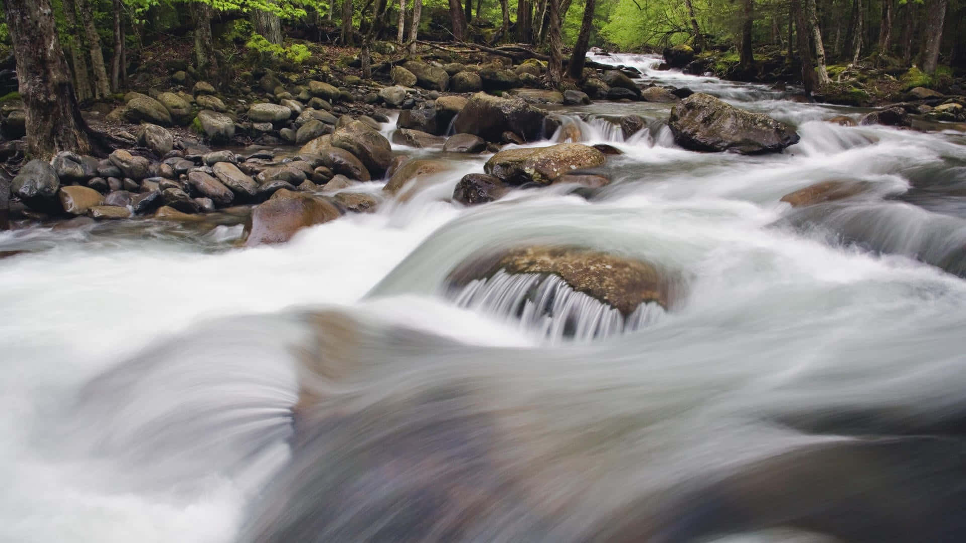 Great Smoky Mountains National Park, river flowing, mossy rocks, Full HD Desktop Wallpaper