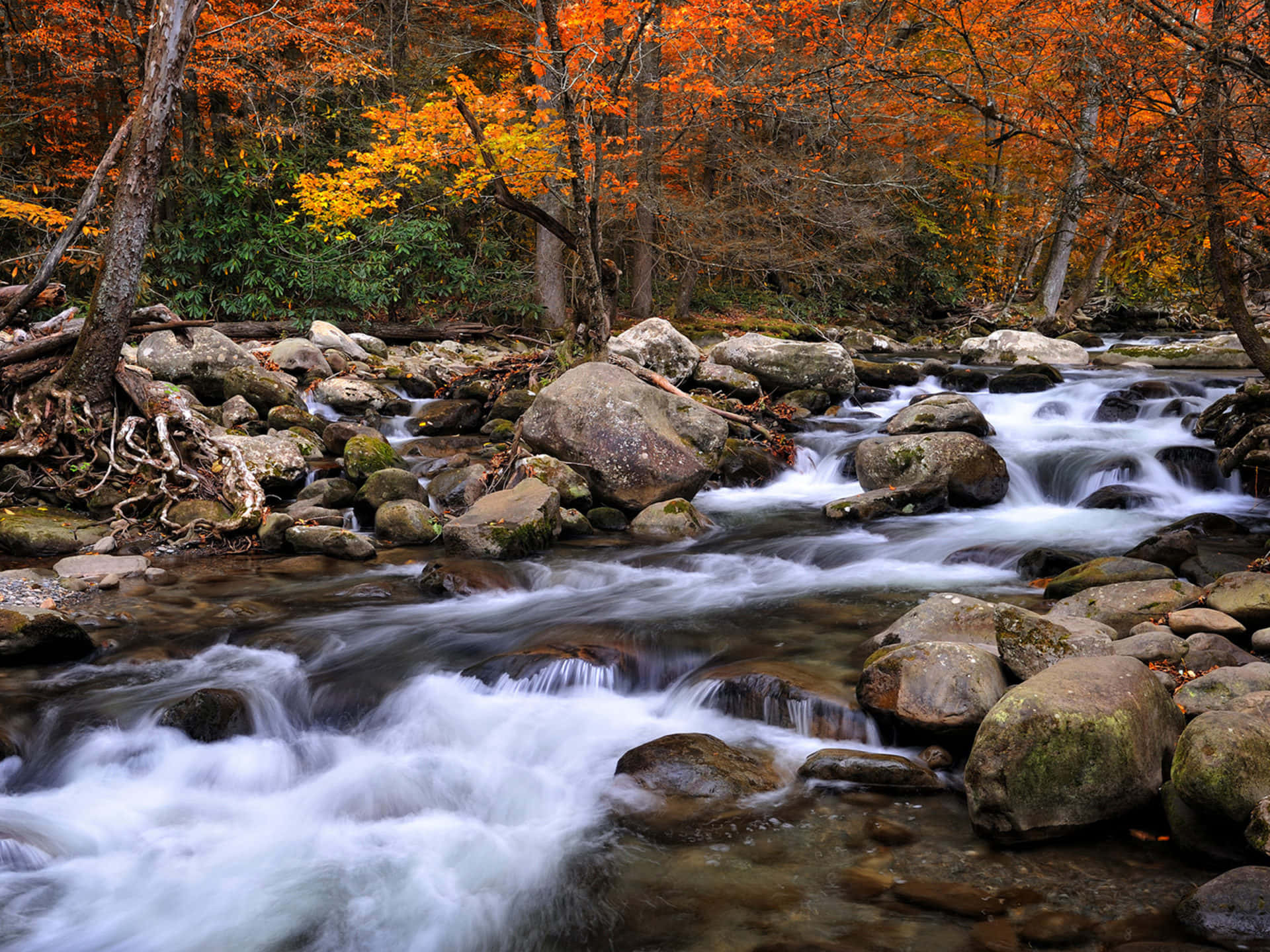 Great Smoky Mountains National Park, autumn stream, mossy rocks, Full HD Desktop Wallpaper