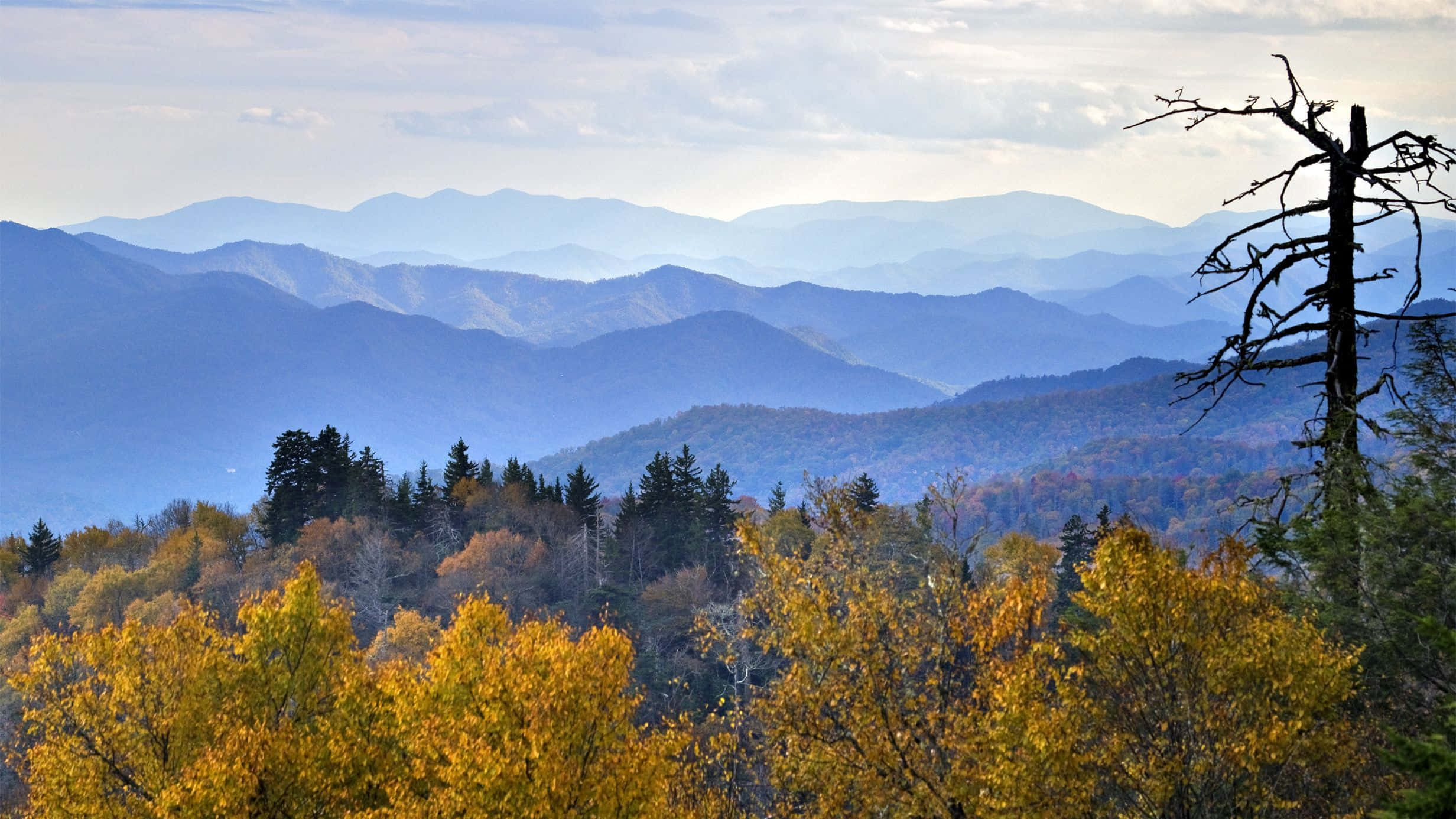 Great Smoky Mountains National Park, autumn trees, hazy blue distance, Full HD Desktop Wallpaper