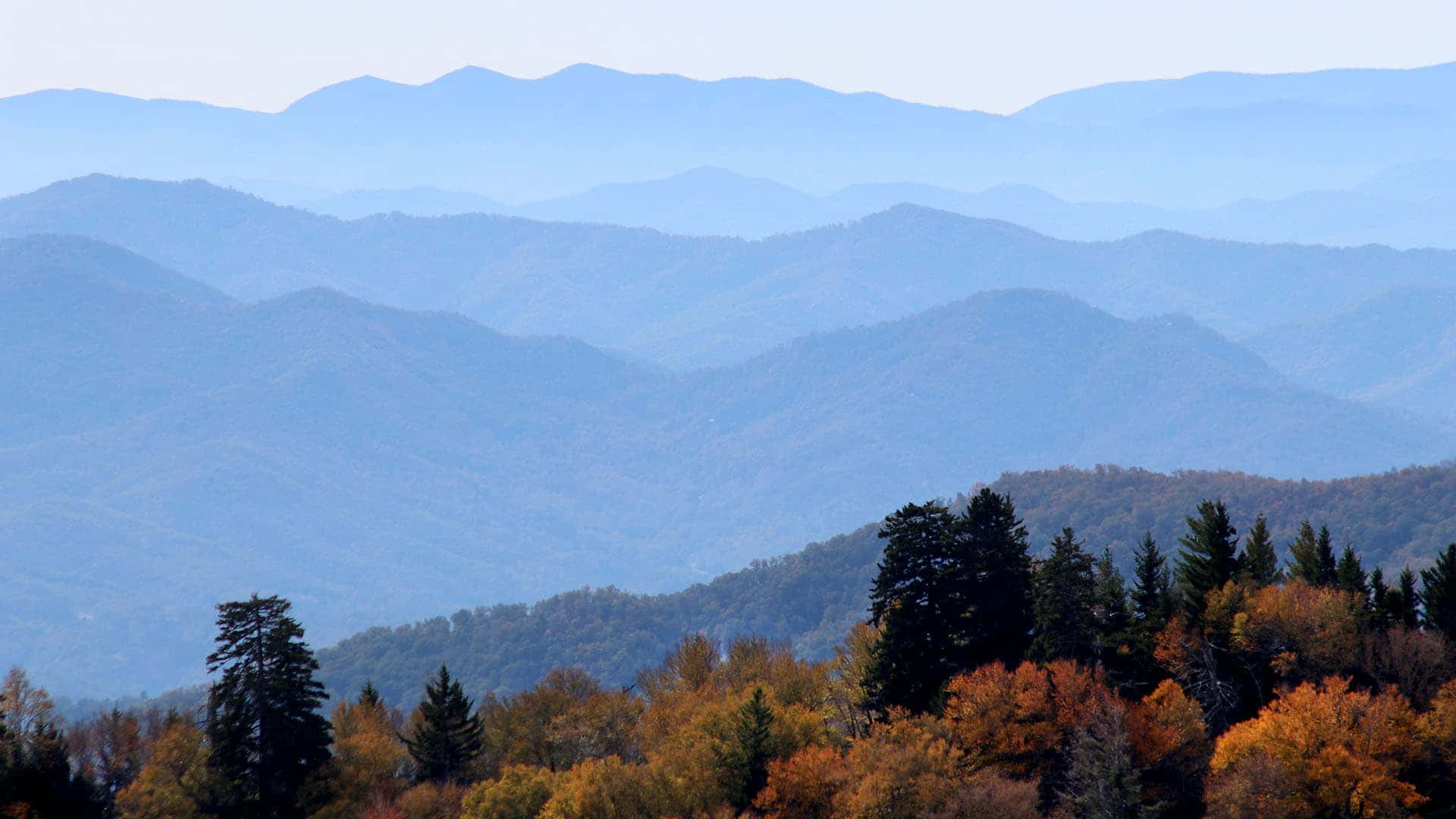 Great Smoky Mountains National Park, autumn orange, gold, Full HD Desktop Wallpaper