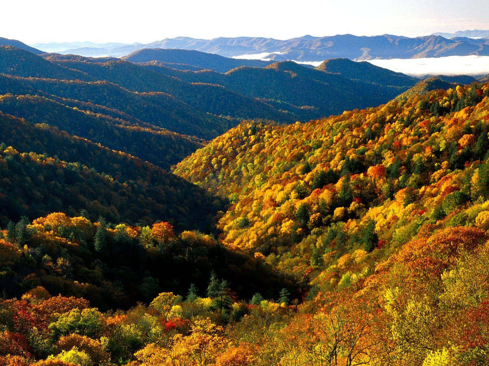 Great Smoky Mountains National Park, autumn foliage, bright sky, HD Desktop Wallpaper