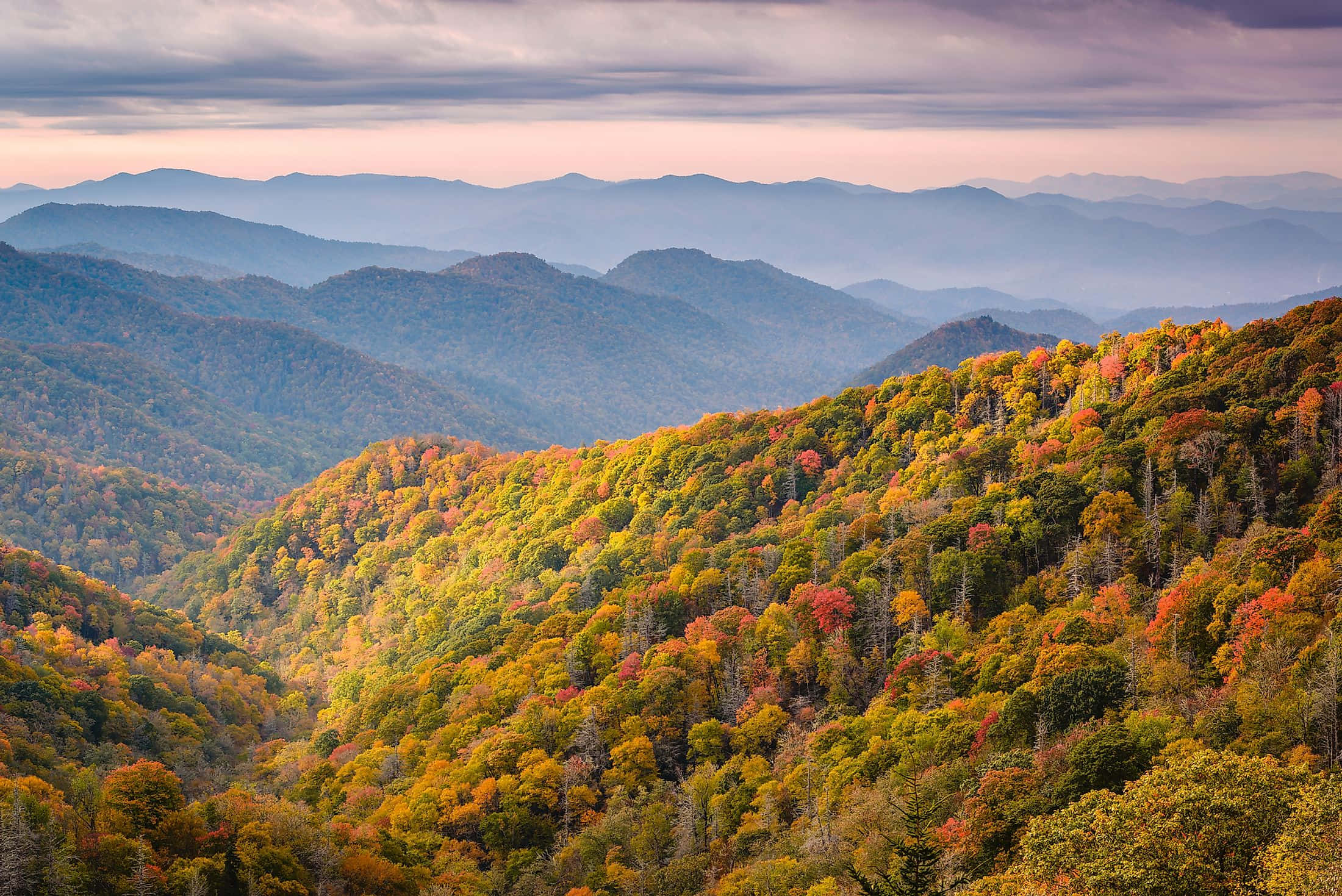 Great Smoky Mountains National Park, autumn foliage, rolling mountain ridges, Full HD Desktop Wallpaper