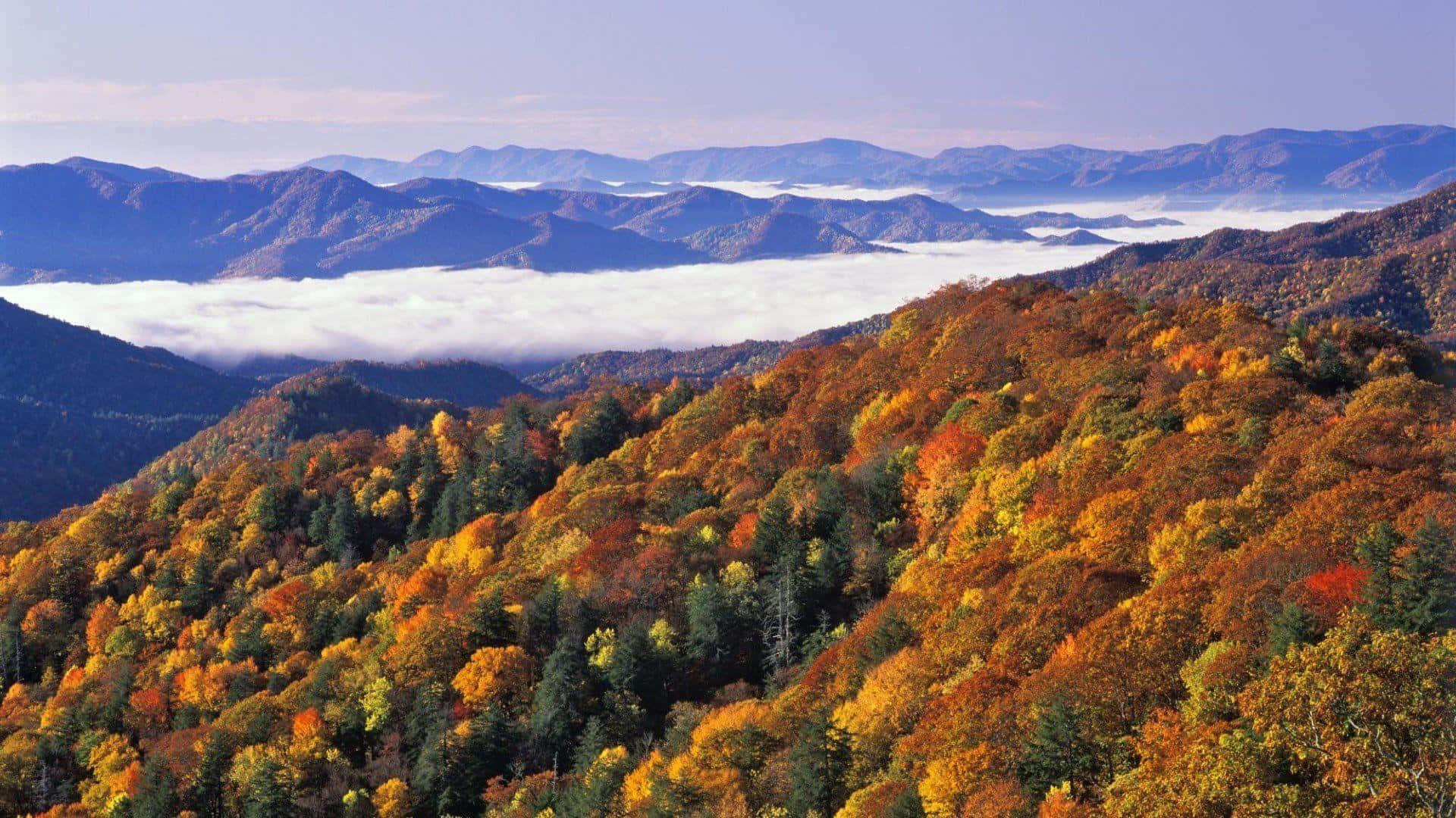 Great Smoky Mountains National Park, autumn foliage, rolling mountains, Full HD Desktop Wallpaper