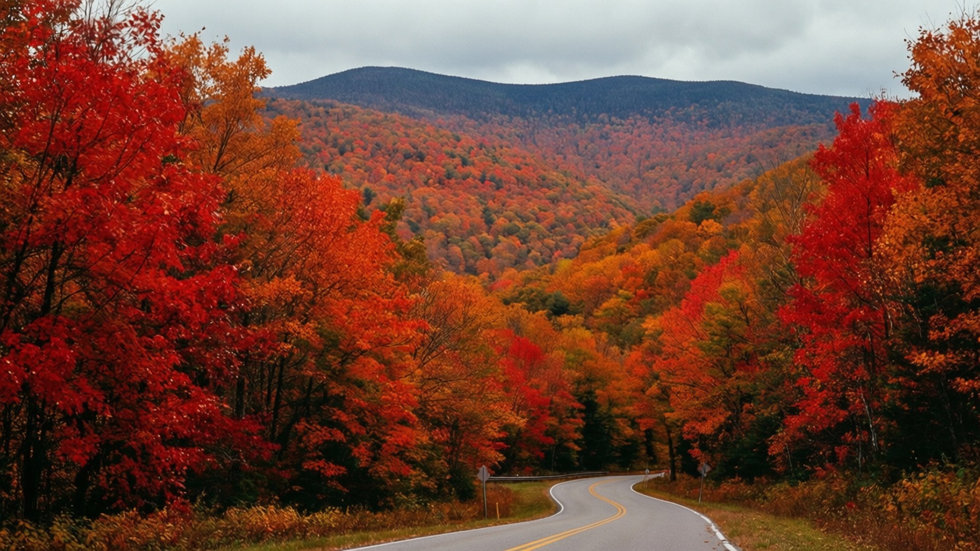 vibrant autumn colors, winding road, fiery red orange trees, Full HD Desktop Wallpaper