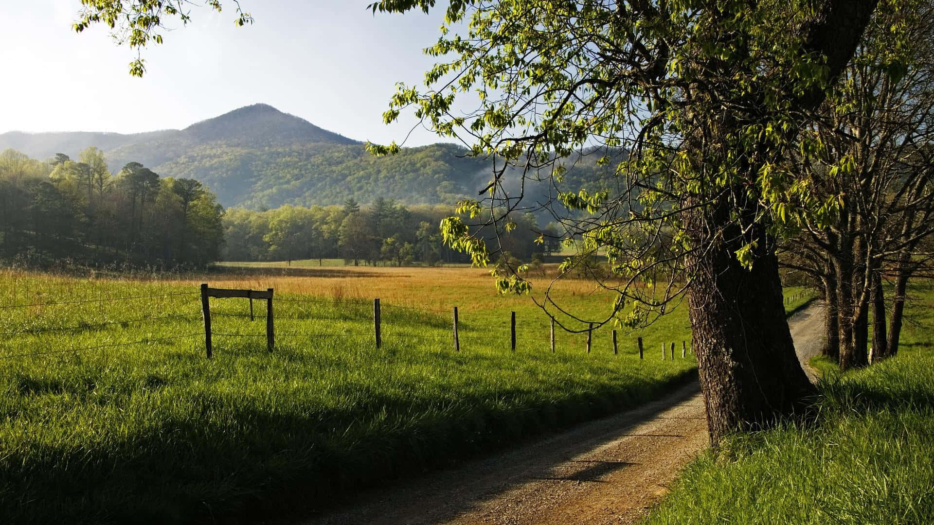 Great Smoky Mountains National Park, lush green field, dirt path, Full HD Desktop Wallpaper