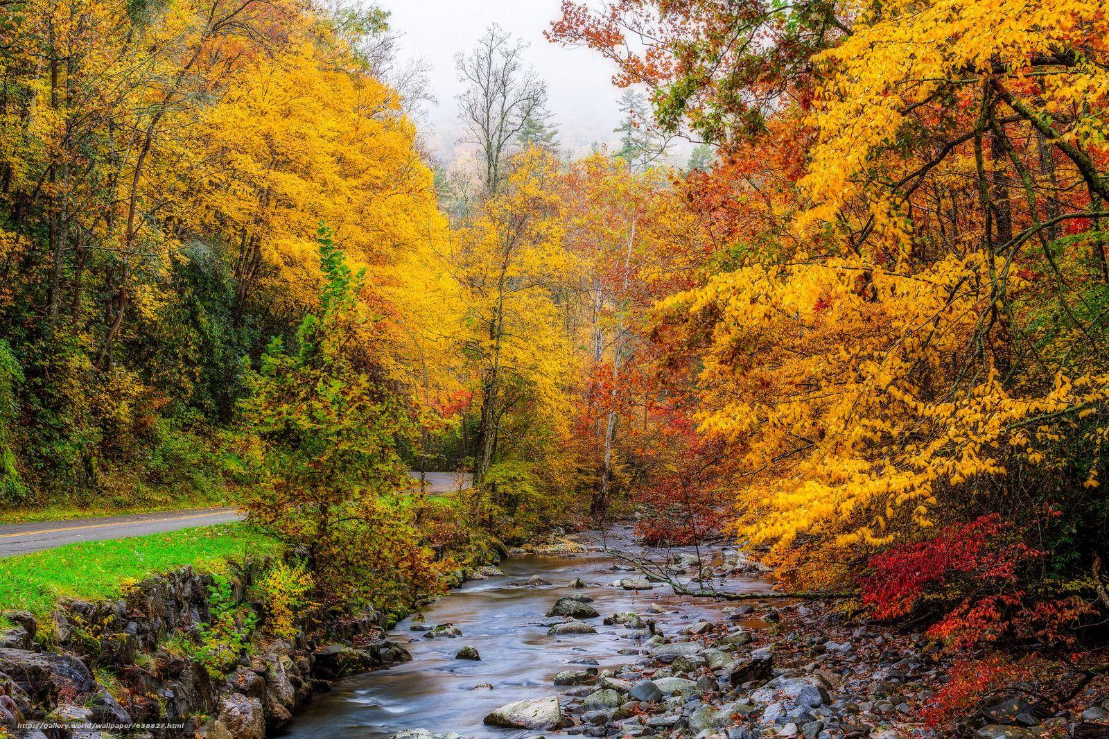 Great Smoky Mountains, winding river, vibrant autumn forest, HD Desktop Wallpaper