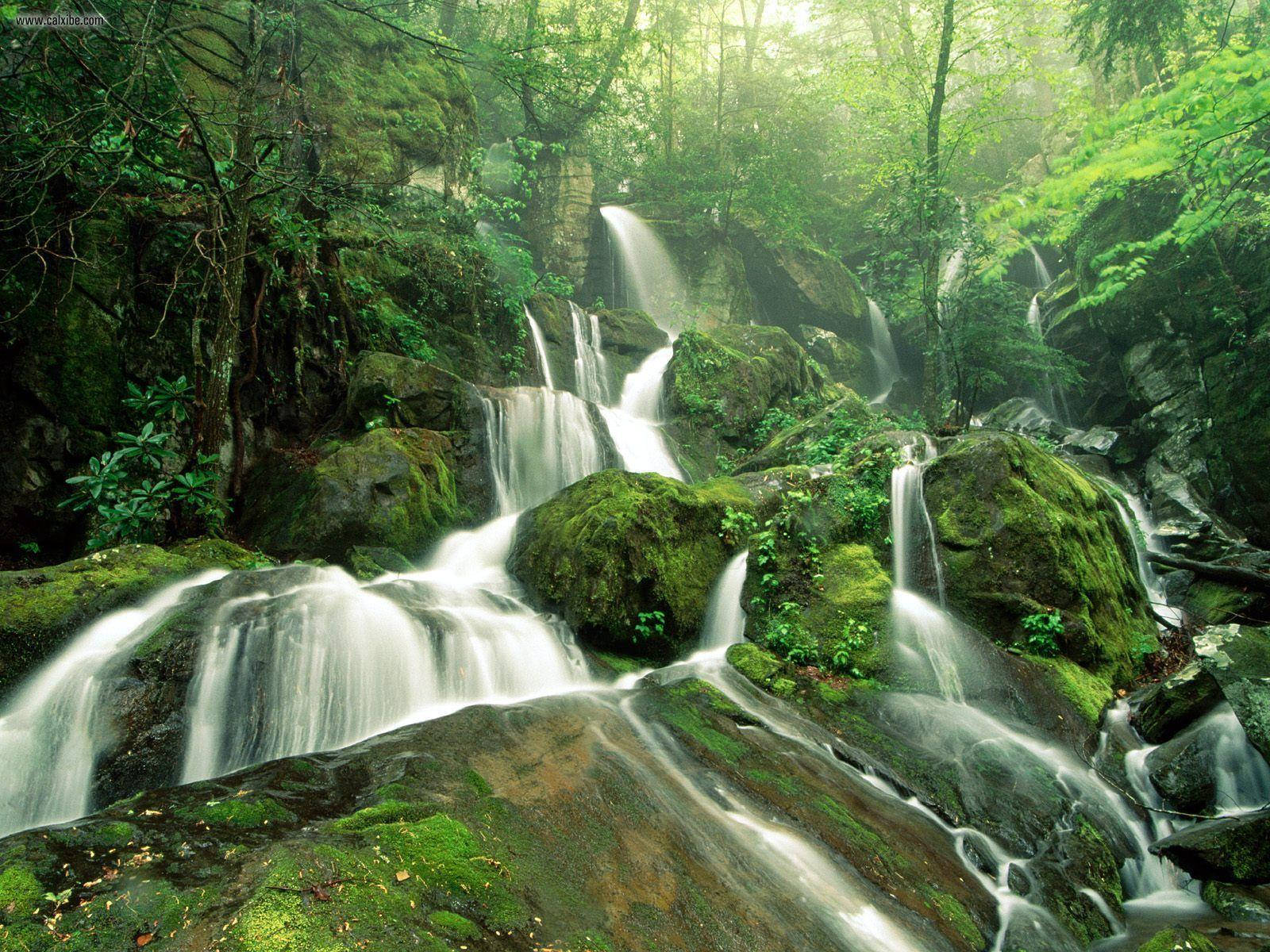 Great Smoky Mountains, forest waterfall, mossy rocks, HD Desktop Wallpaper