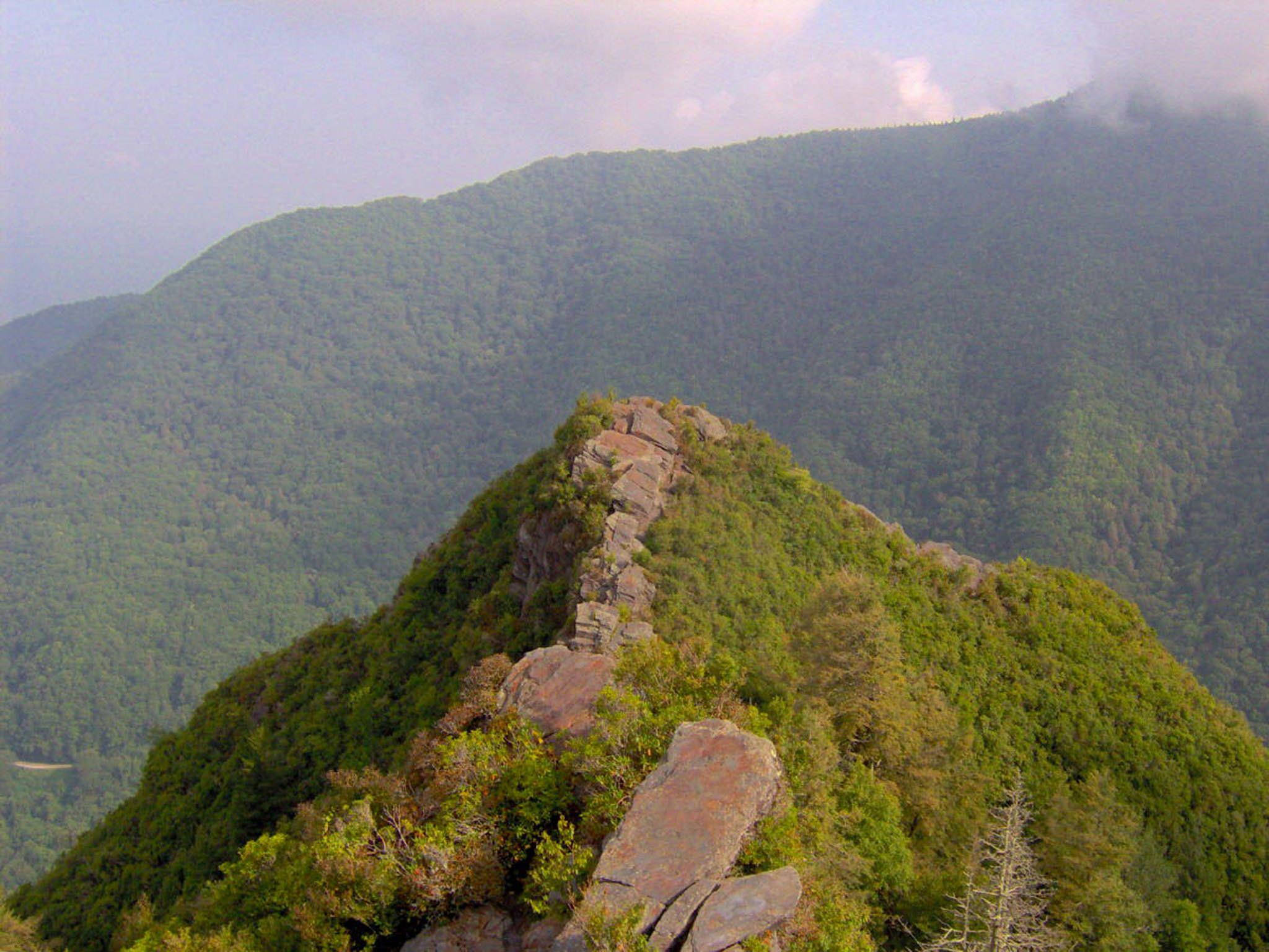 Great Smoky Mountains, green grass, rugged mountain ridge, Full HD Desktop Wallpaper