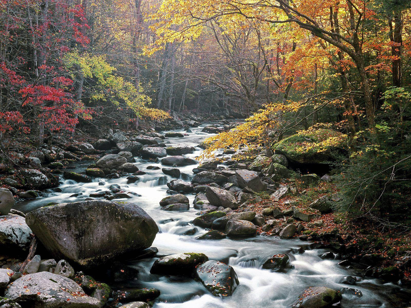 Great Smoky Mountains, sunset, autumn forest, HD Desktop Wallpaper