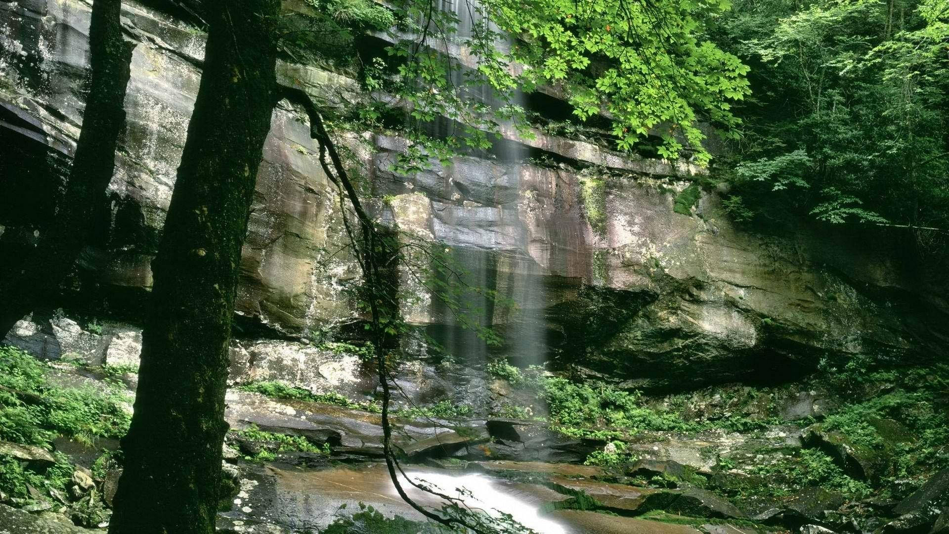 Great Smoky Mountains, forest waterfall, mossy rock faces, Full HD Desktop Wallpaper