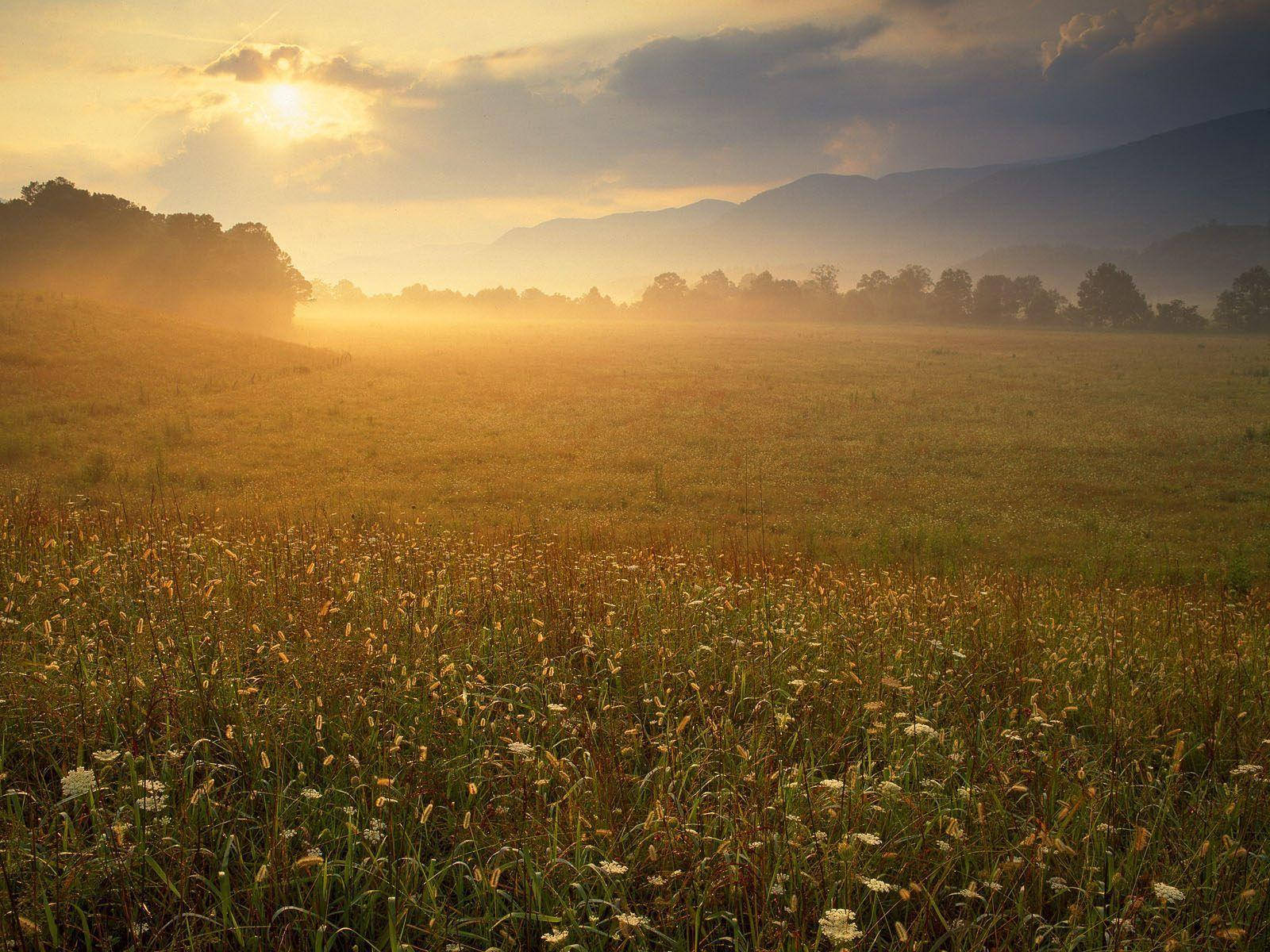 Great Smoky Mountains, golden sunrise, mist, HD Desktop Wallpaper