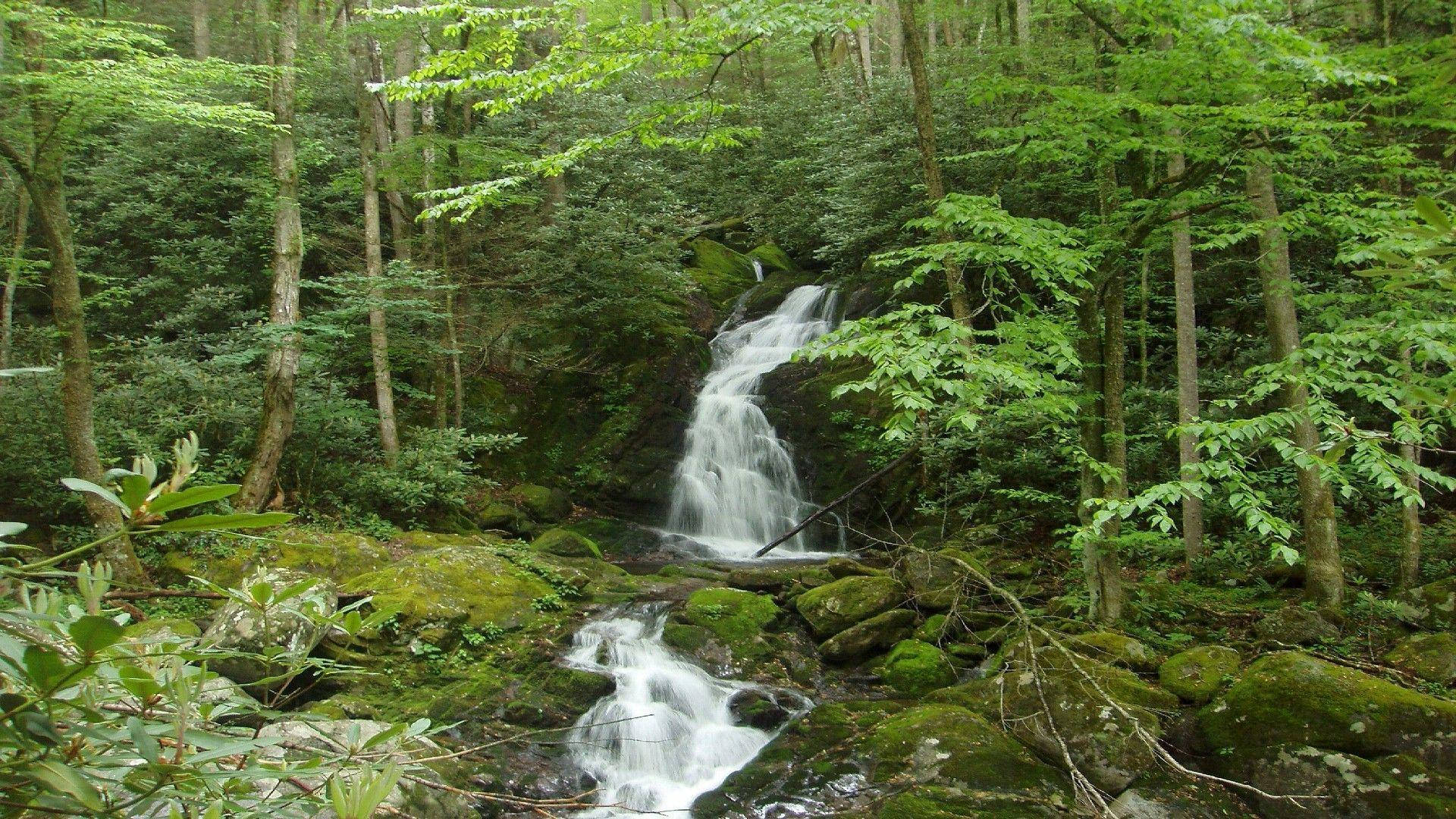 Great Smoky Mountains, forest waterfall, mossy rocks, Full HD Desktop Wallpaper