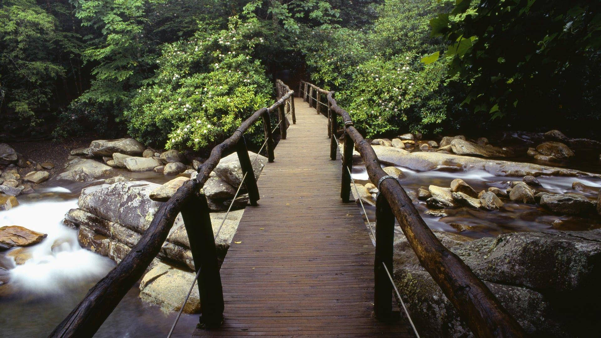 Great Smoky Mountains, wooden footbridge, rushing stream, Full HD Desktop Wallpaper