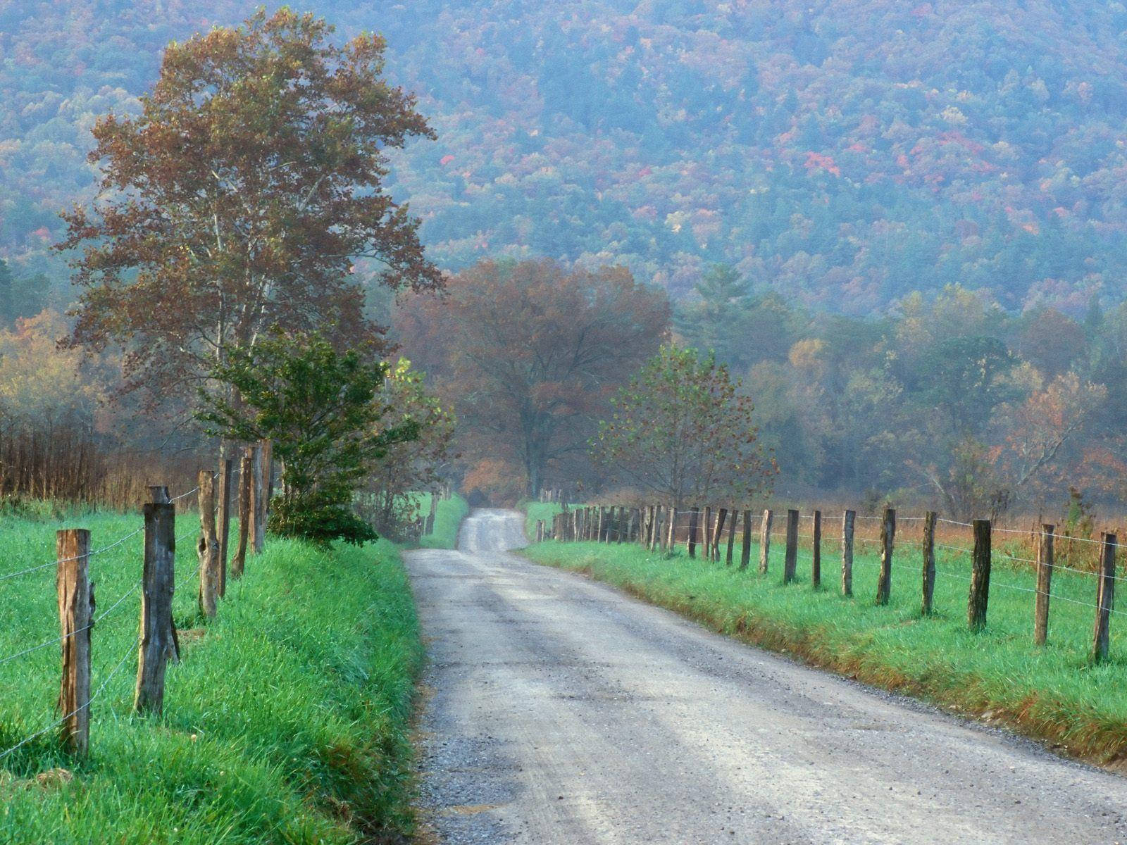 Great Smoky Mountains, mist, gravel road, HD Desktop Wallpaper
