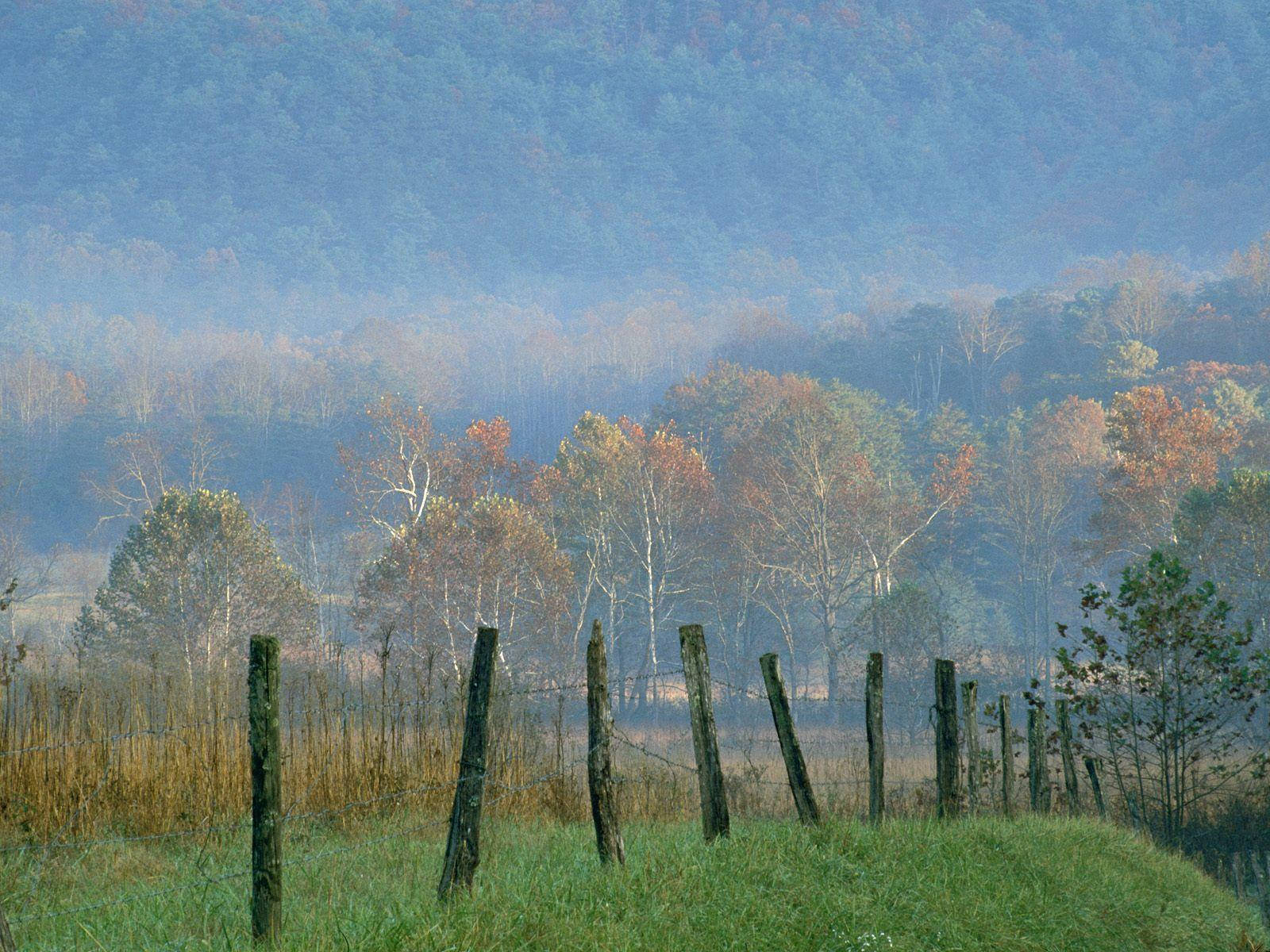 Great Smoky Mountains, wooden fences, autumn morning, HD Desktop Wallpaper