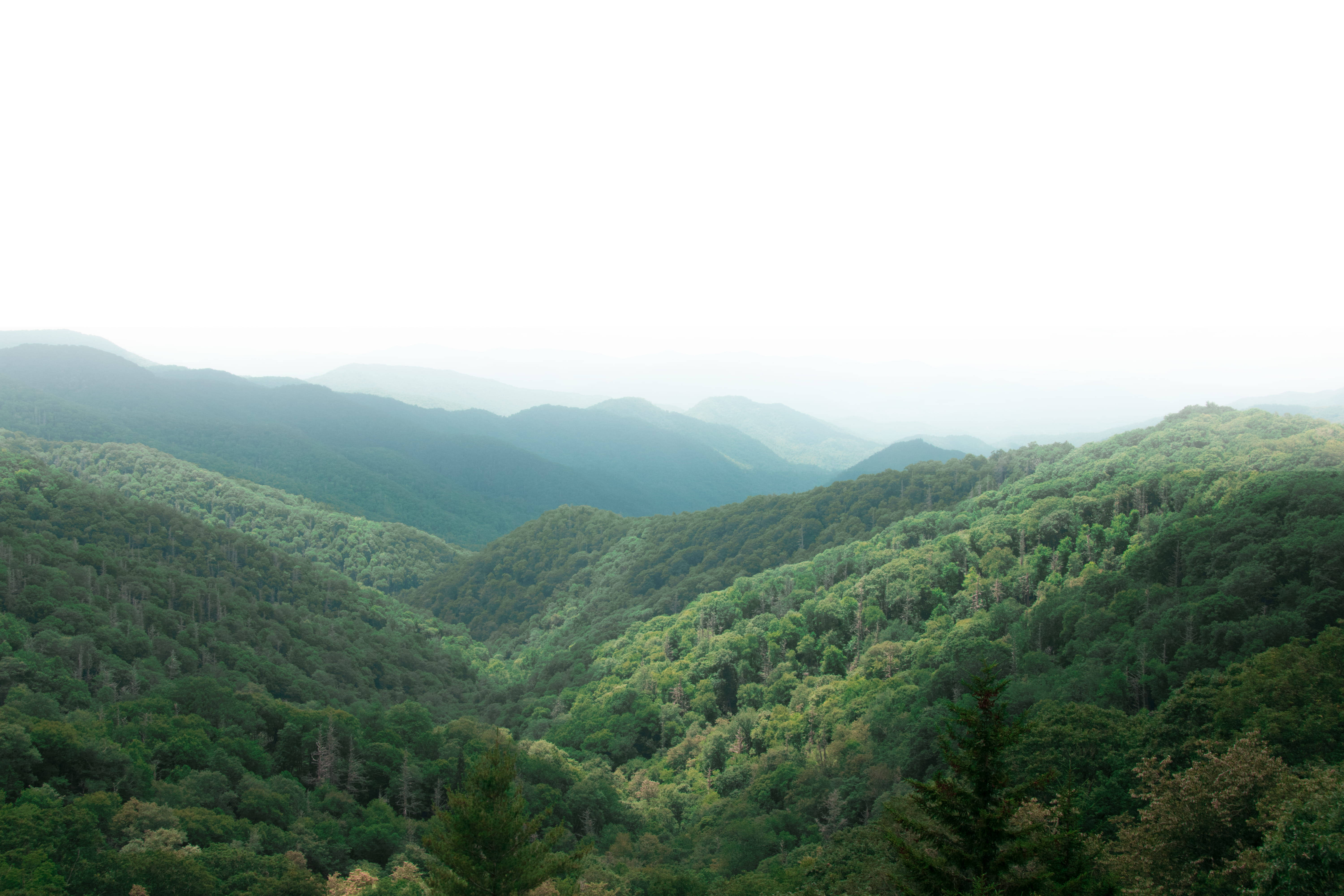 Hazy Smoky Mountains, rolling forested mountains, misty distance, 5K Desktop Wallpaper