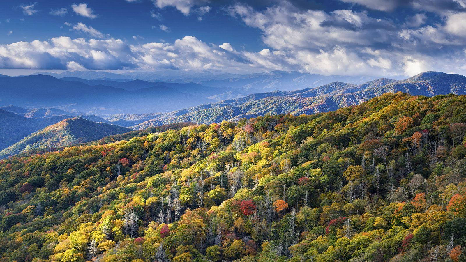 Great Smoky Mountains, autumn foliage, rolling mountain ridges, HD Desktop Wallpaper