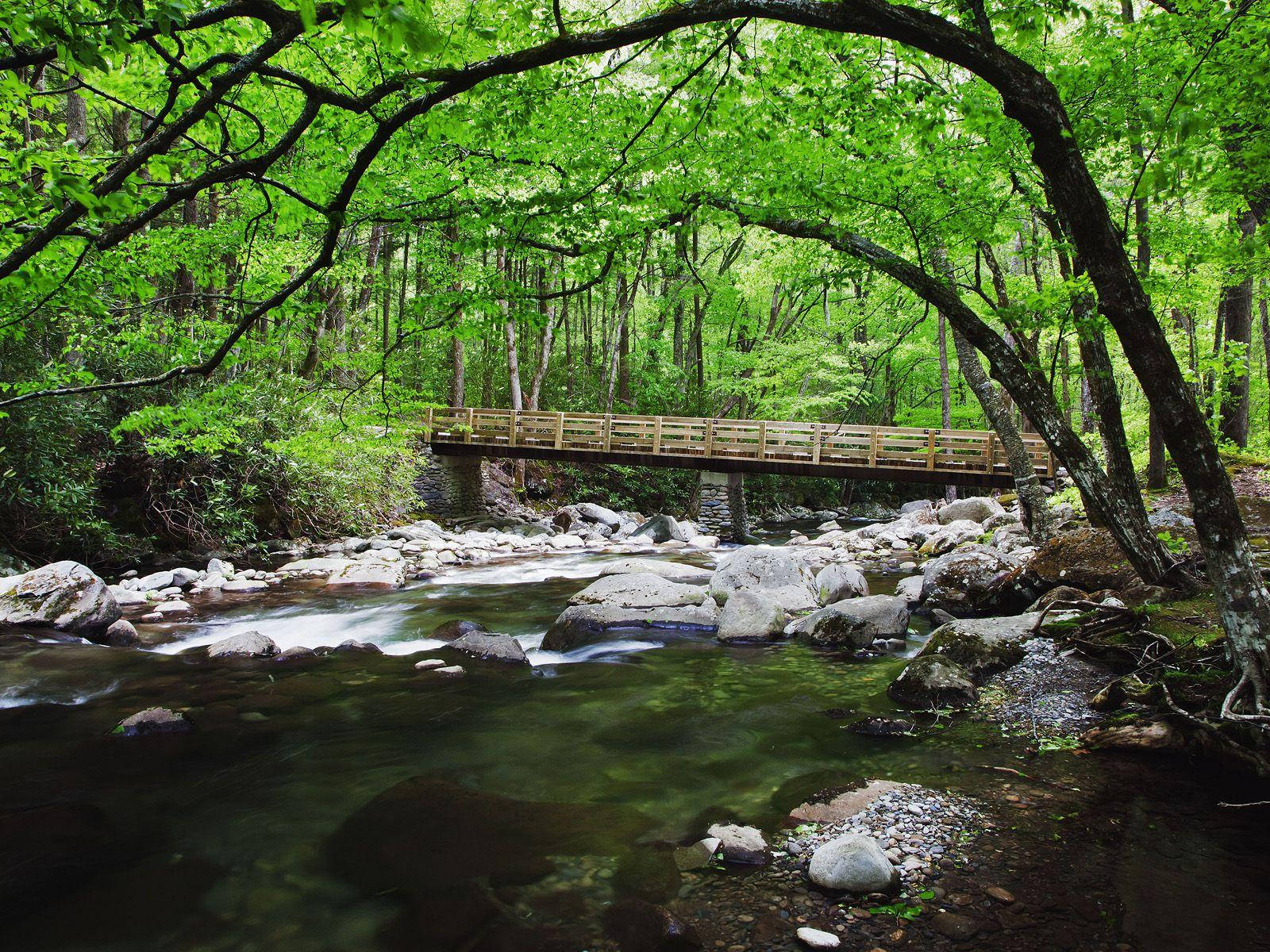 Great Smoky Mountains, wooden bridge, rushing stream, HD Desktop Wallpaper