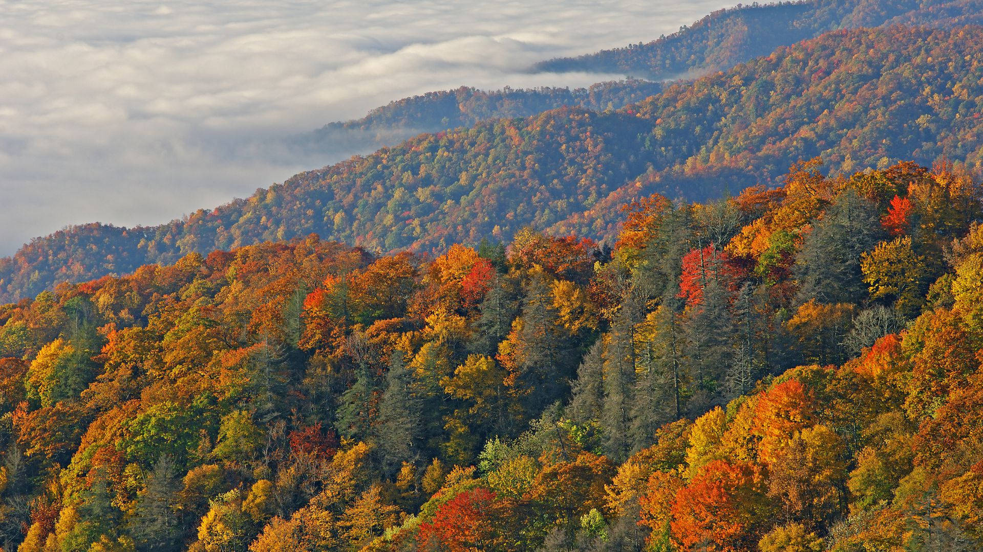 Great Smoky Mountains, autumn foliage, misty clouds, Full HD Desktop Wallpaper