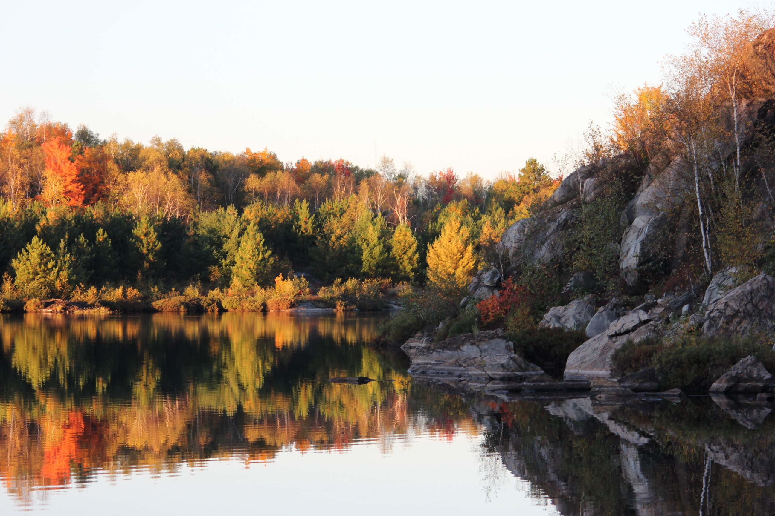 Autumn Reflections Greater Sudbury, autumn forest, fiery red and gold leaves, 2K Desktop Wallpaper