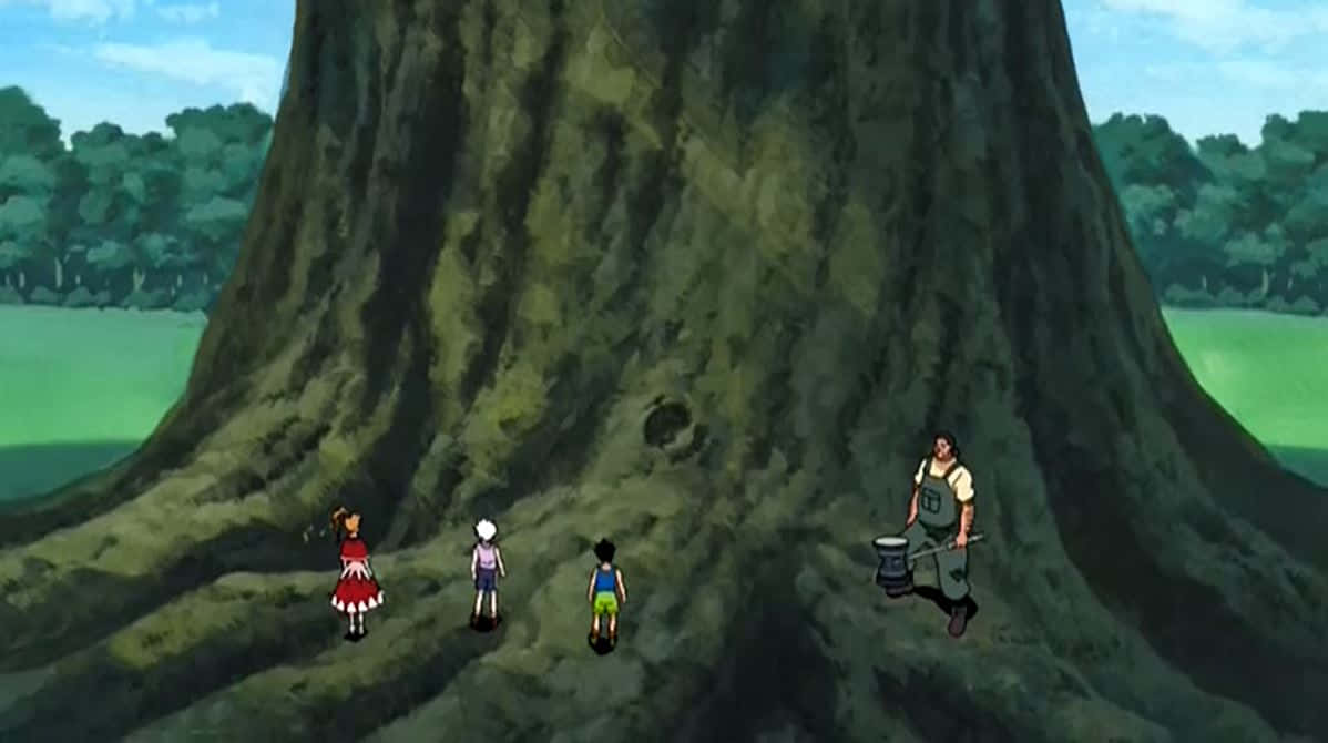 Greed Island, ancient tree, lush green forest, SD Desktop Wallpaper