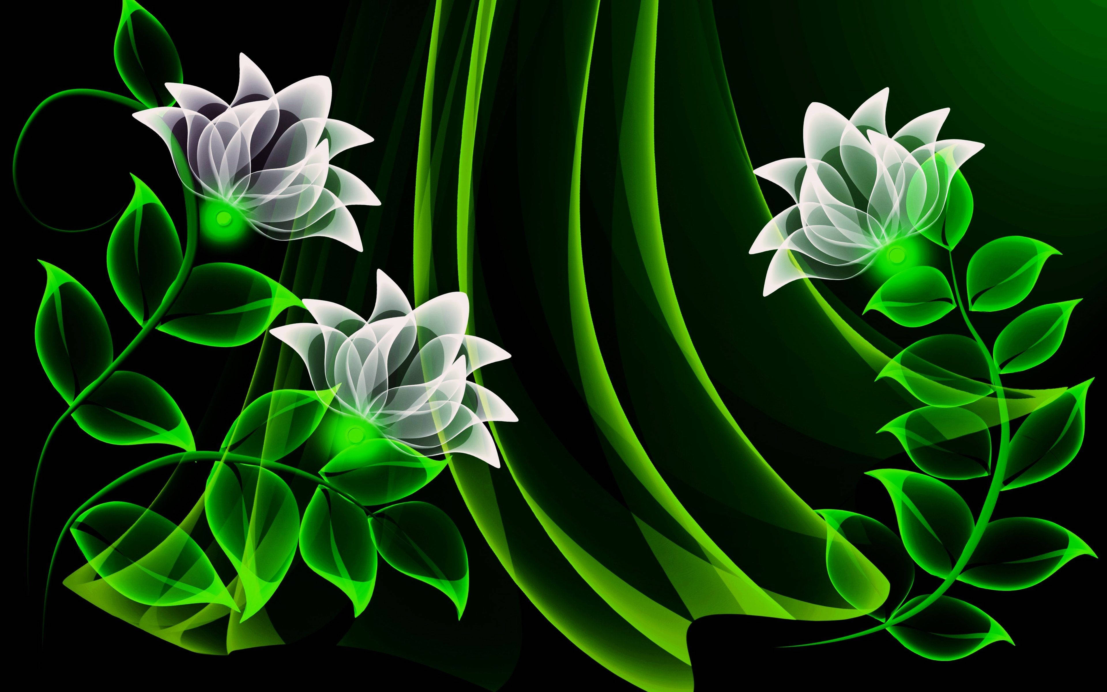 white lotus flowers, green stems, green leaves, 4K Desktop Wallpaper