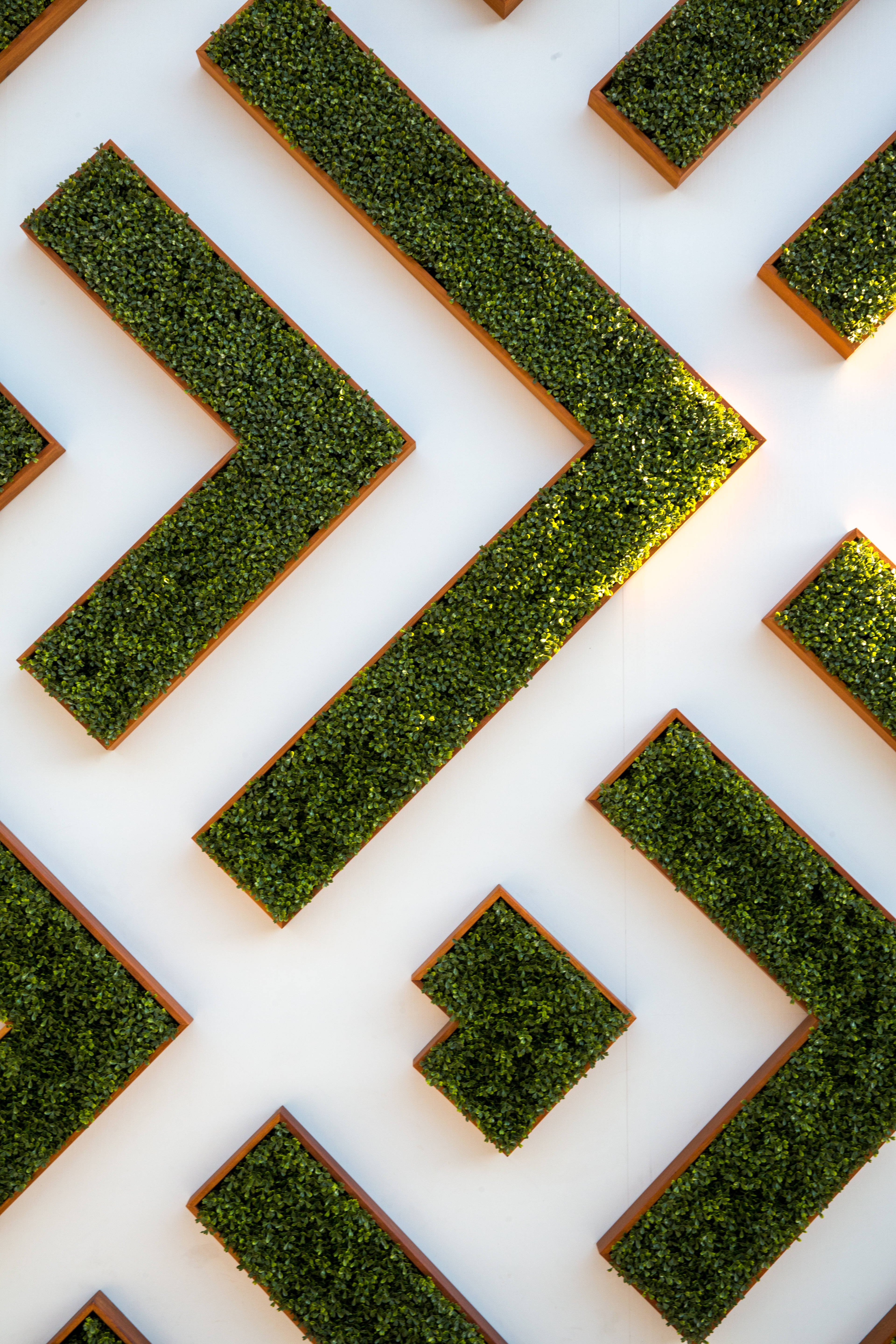 abstract maze garden, geometric green moss panels, wooden frames, 5K Phone Wallpaper