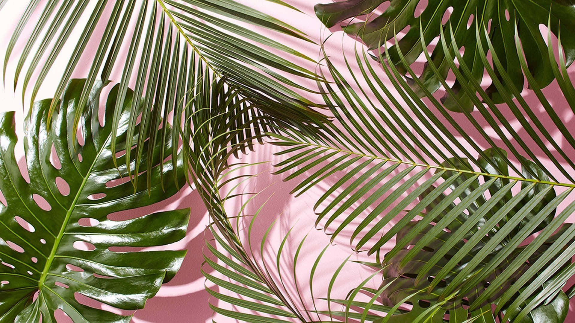 Green Aesthetic Desktop, tropical leaves, glossy textures, Full HD Desktop Wallpaper