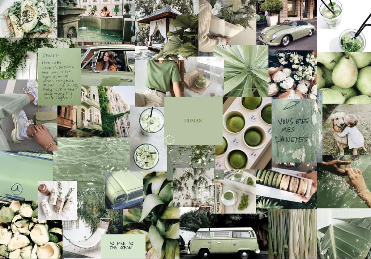 Green Aesthetic Desktop, vintage cars, lush plants, SD Desktop Wallpaper