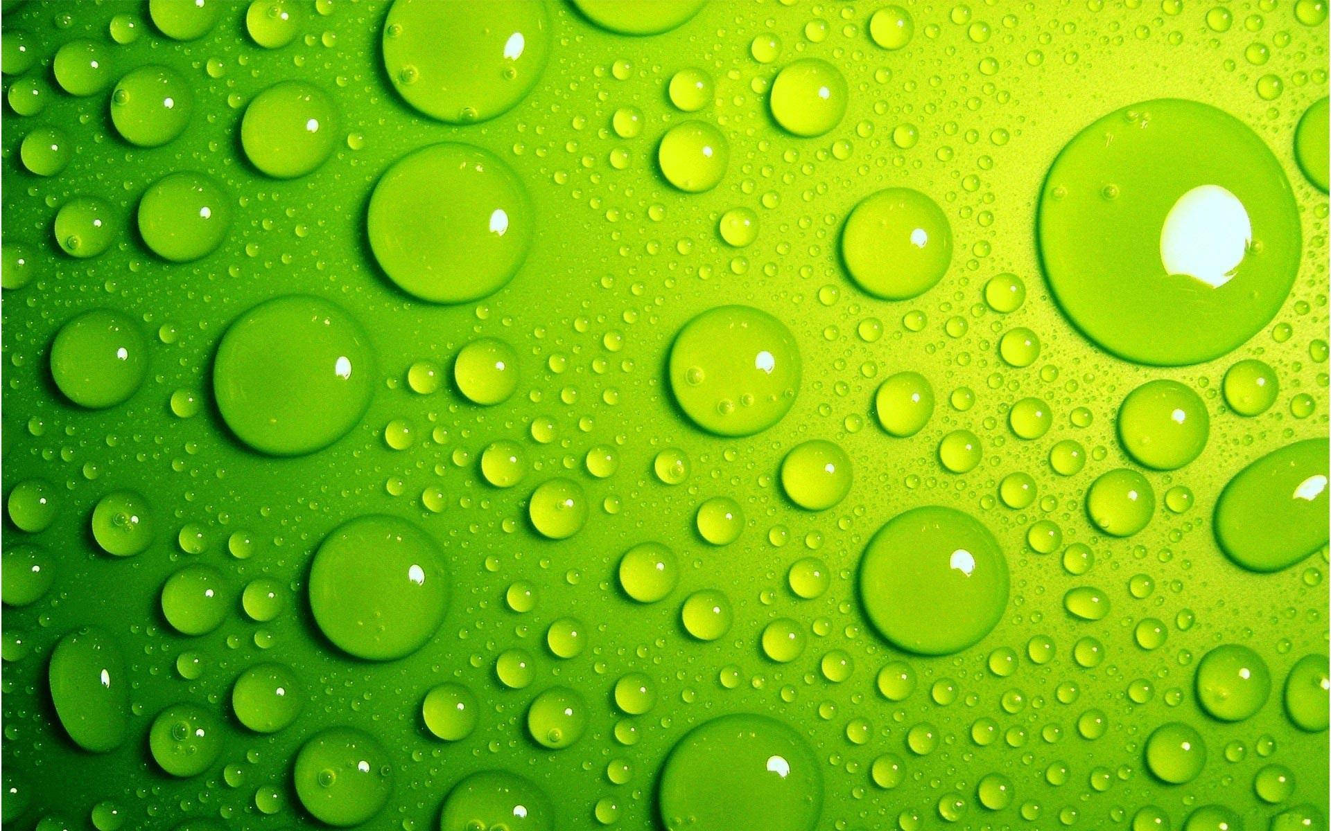 light green, water droplets, glistening, Full HD Desktop Wallpaper