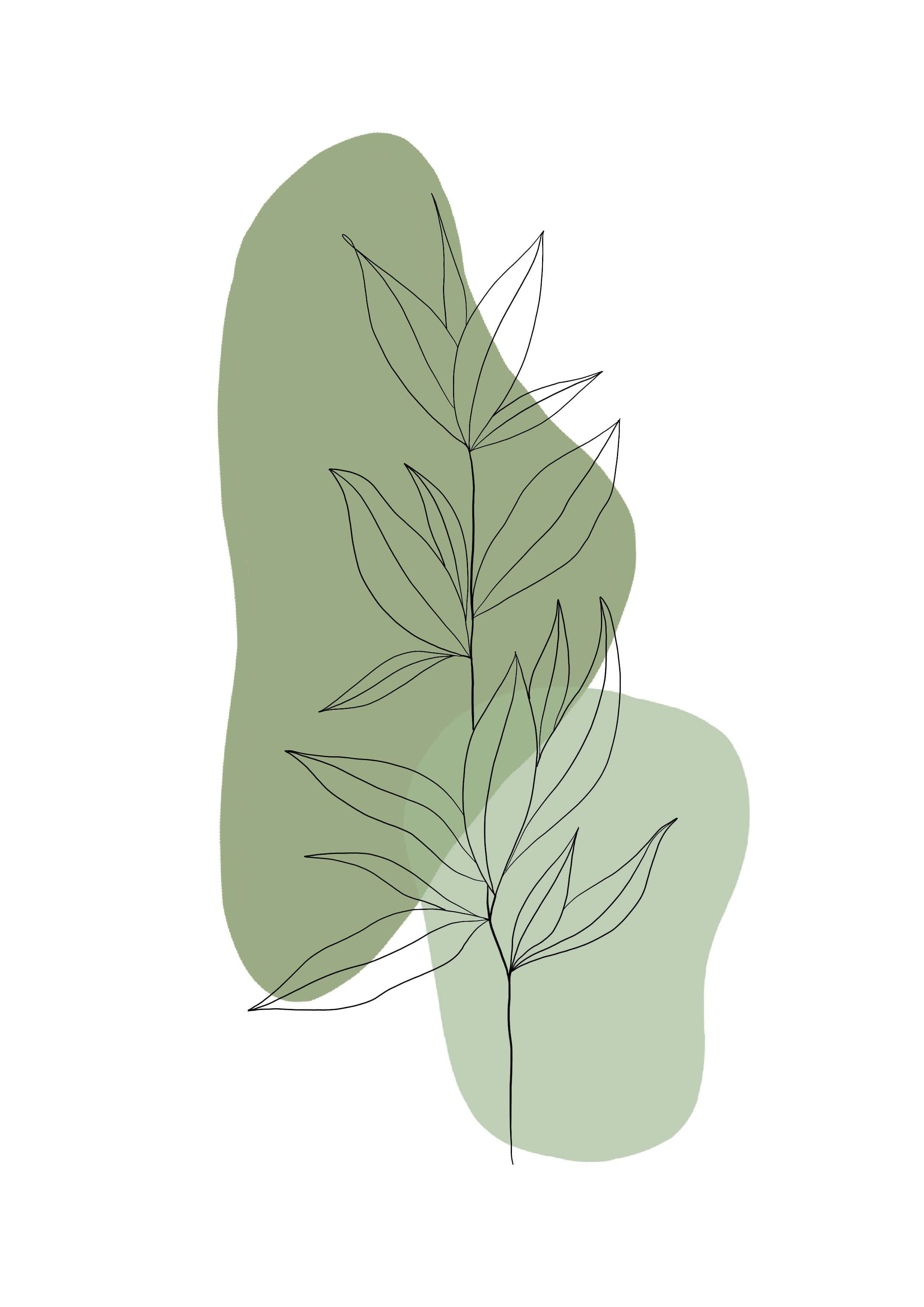 leafy stem, soft green abstract shapes, white background, 2K Phone Wallpaper