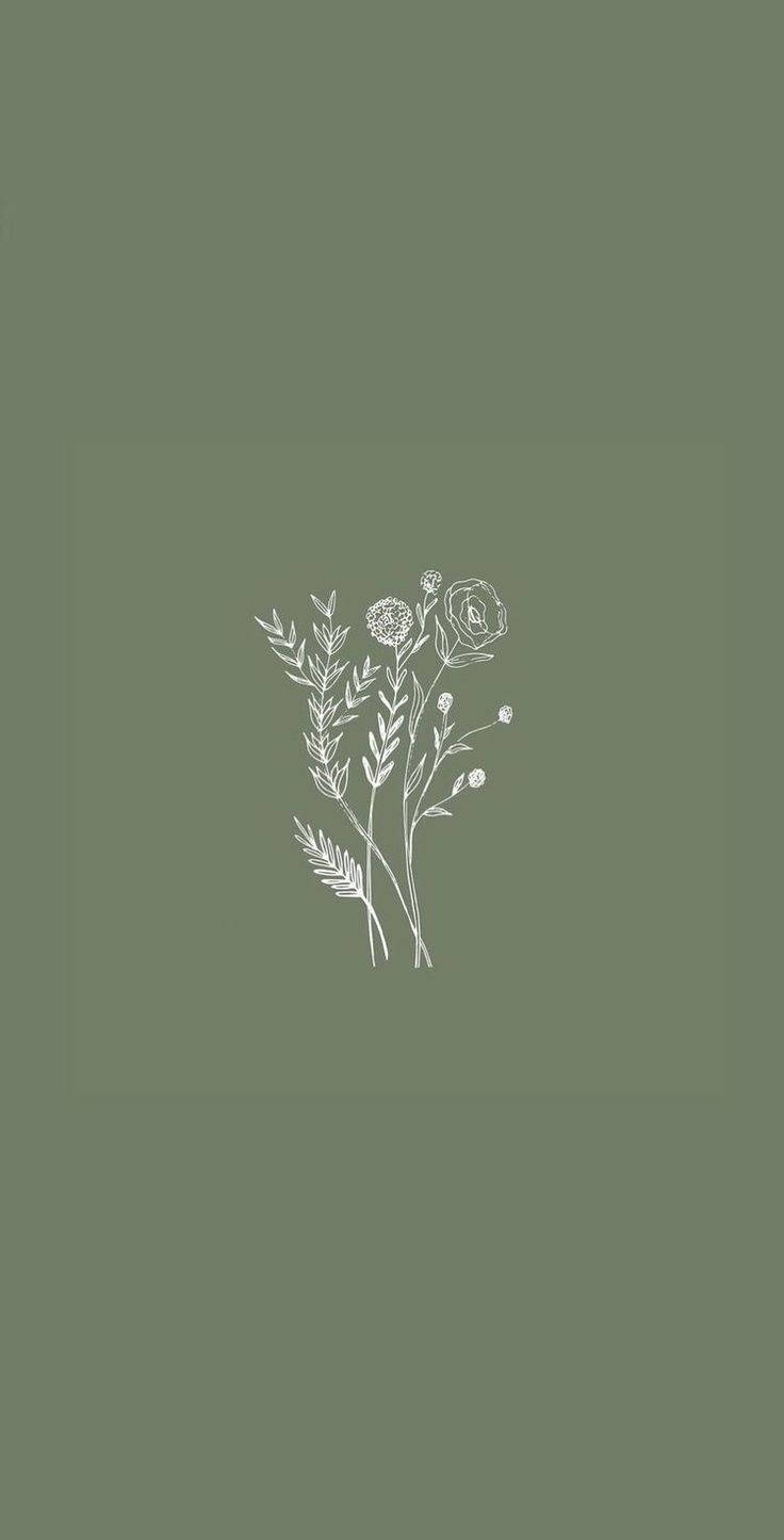 white flower, green background, muted olive green, HD Phone Wallpaper