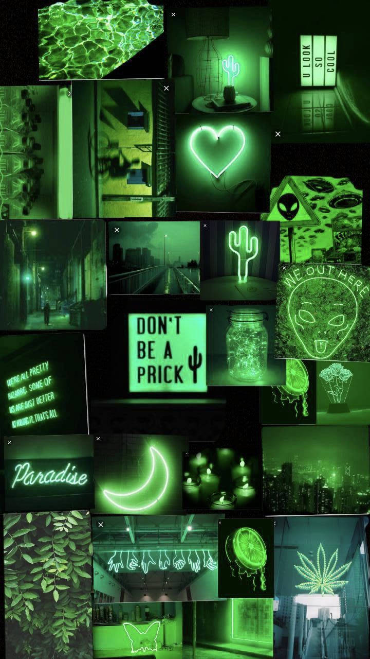 green neon, glowing signs, cacti, HD Phone Wallpaper