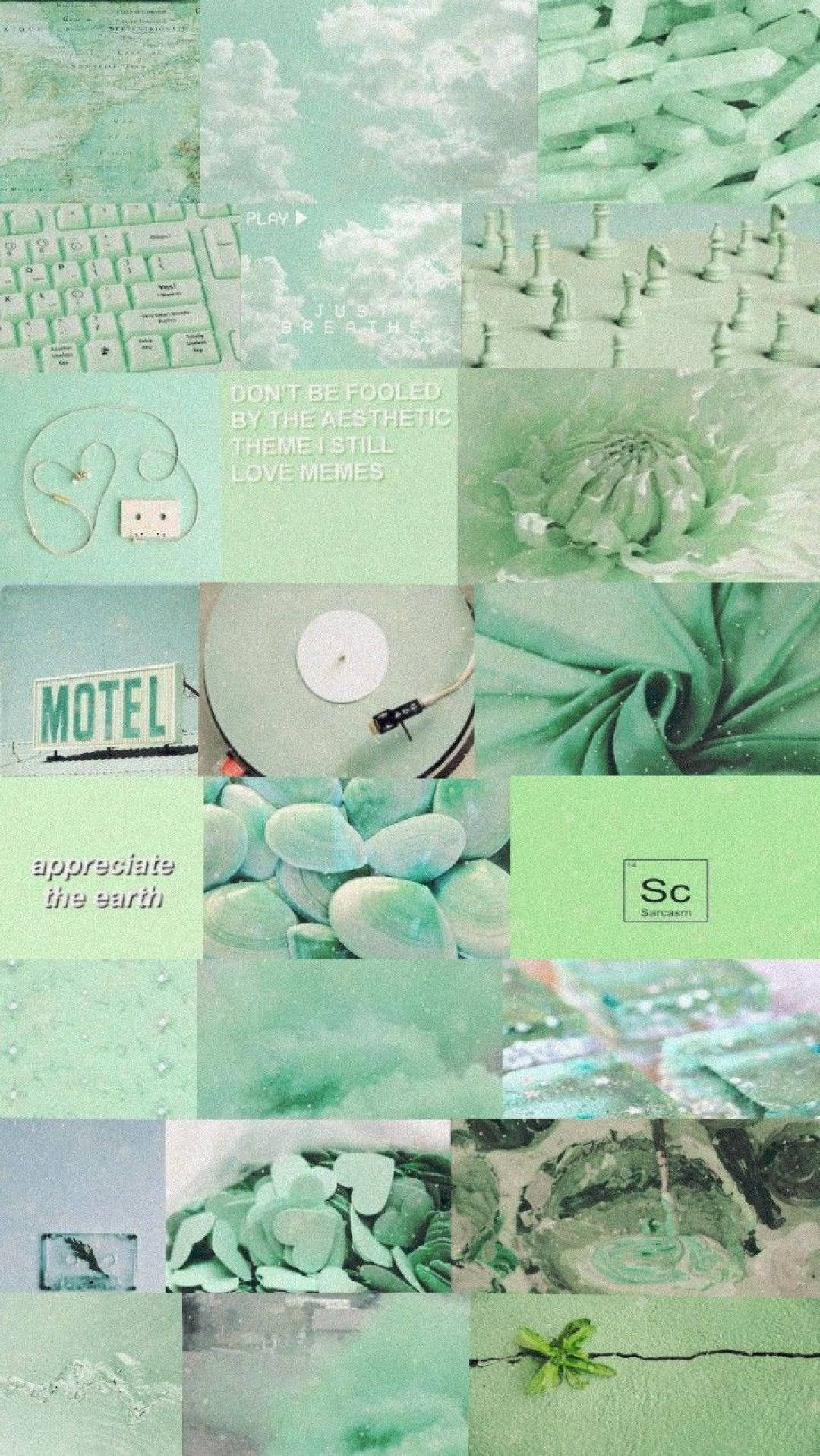 mint green, keyboard flowers, chess pieces, HD Phone Wallpaper