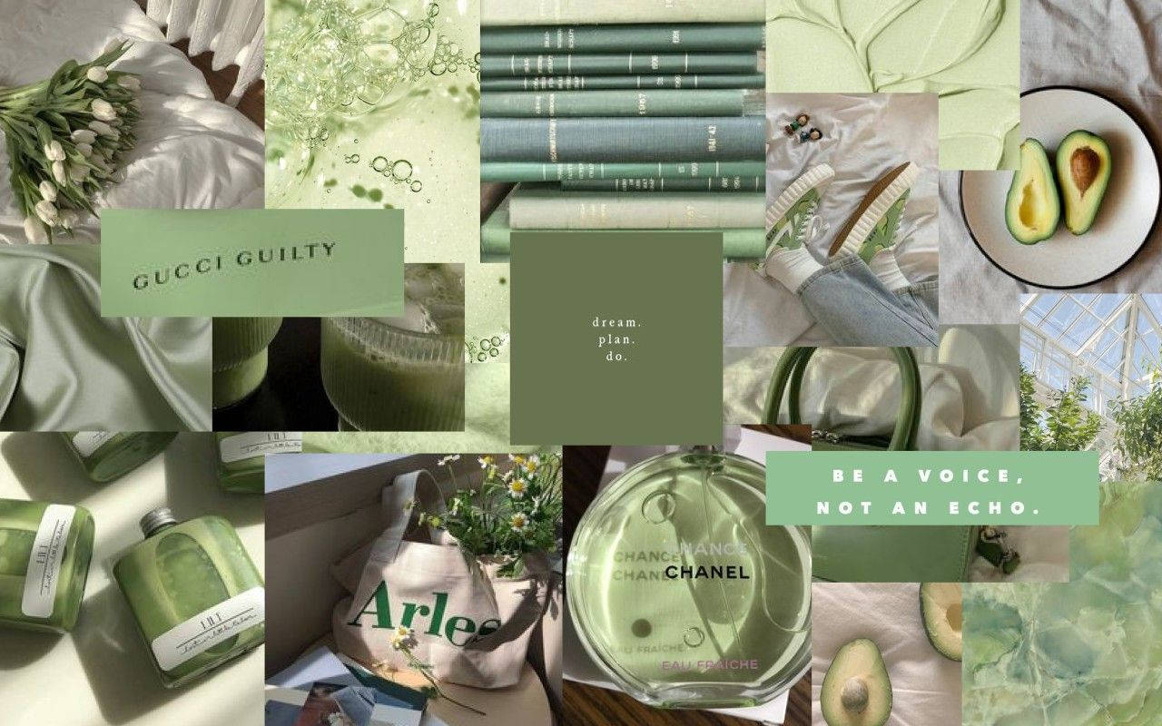 pastel green aesthetic laptop, mint green, avocado halves, HD Desktop Wallpaper