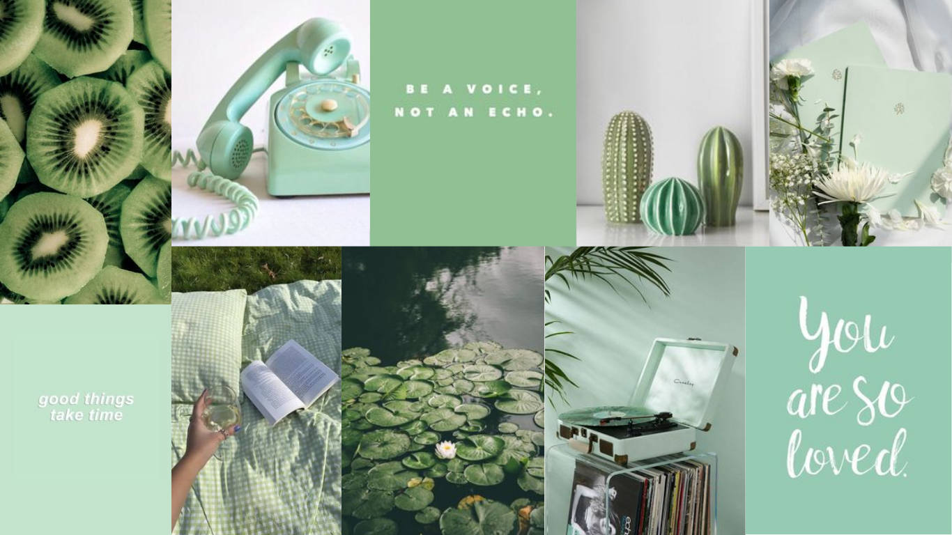pastel green aesthetic laptop, mint green, kiwi slices, HD Desktop Wallpaper